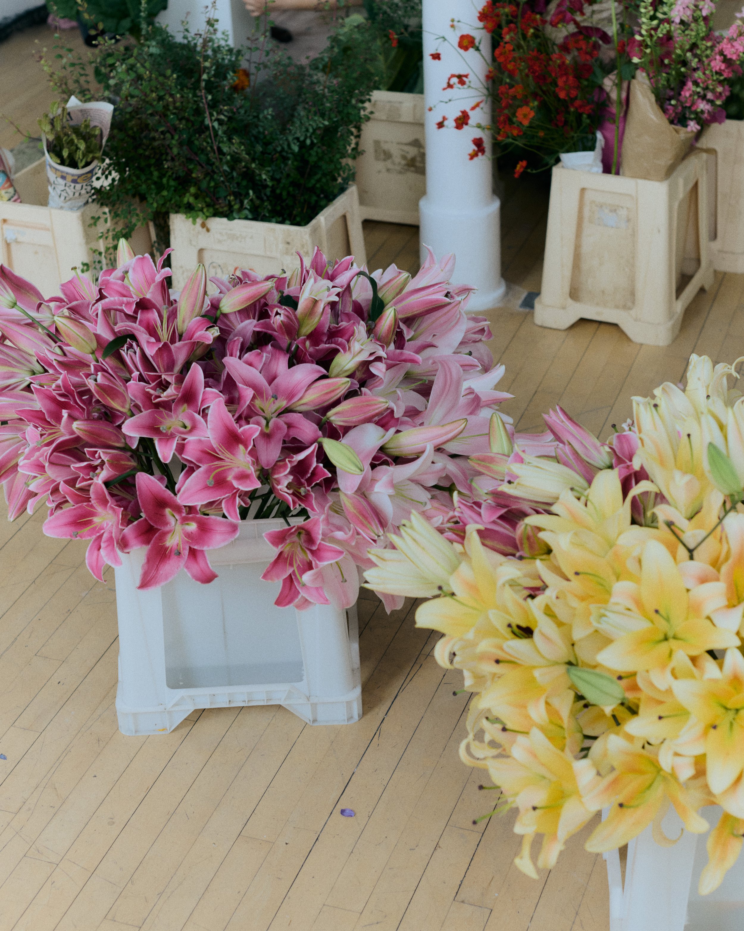 Copy of 259619_FlowersOnTheEdge_0096.jpg