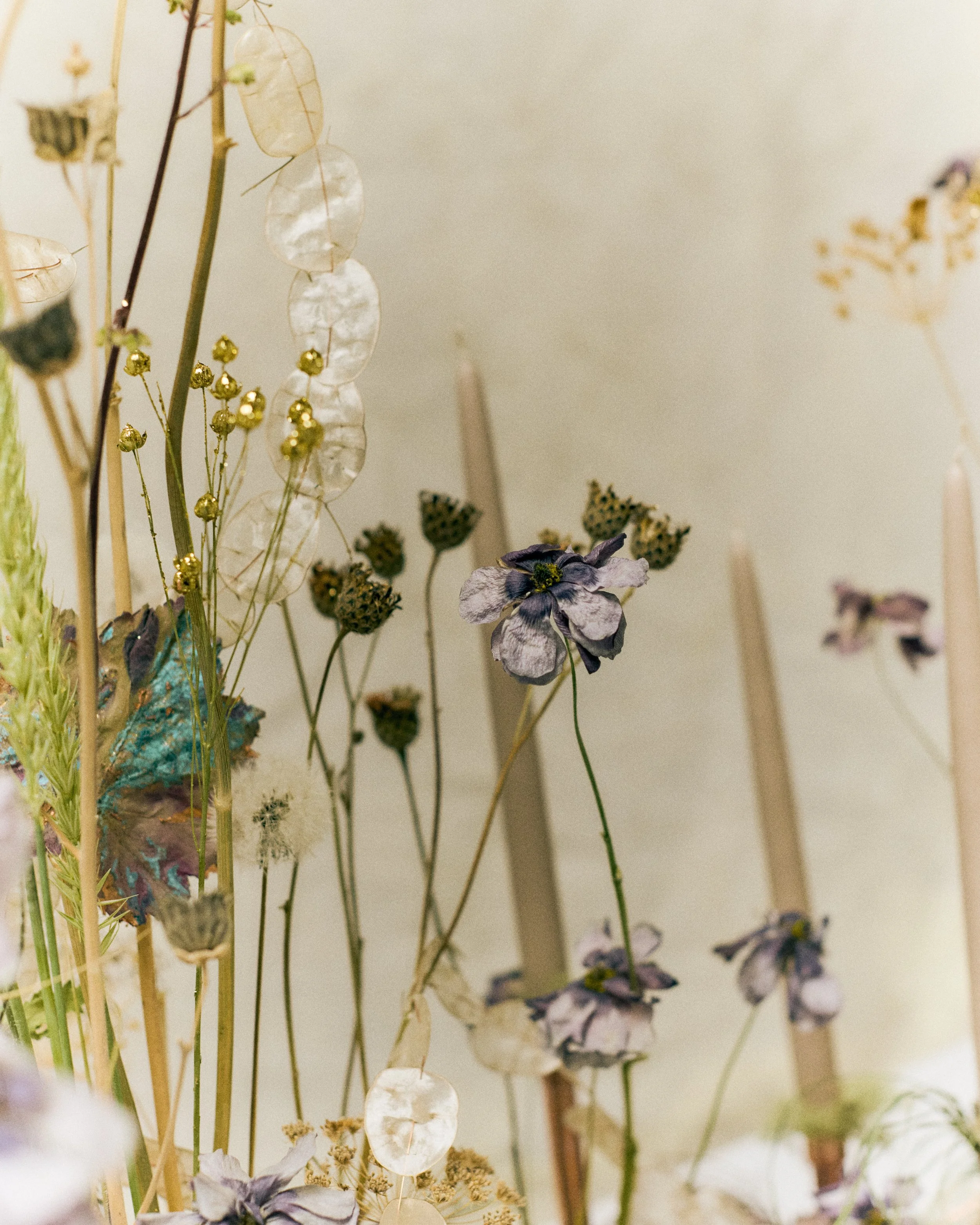 261801_FLOWERSONTHEEDGE_TILLYWACE_1371.jpg