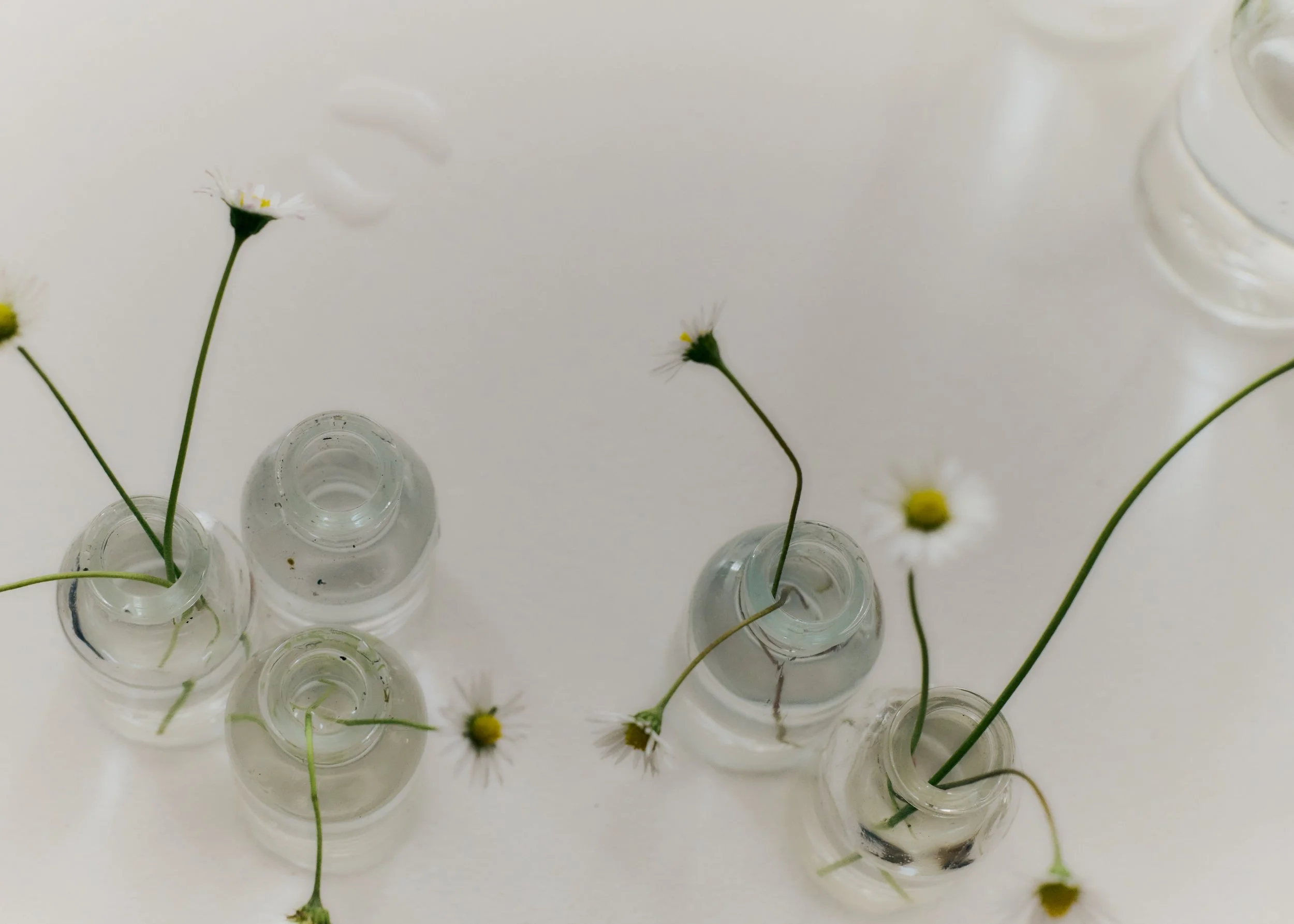 Copy of 259619_FlowersOnTheEdge_0336.jpg