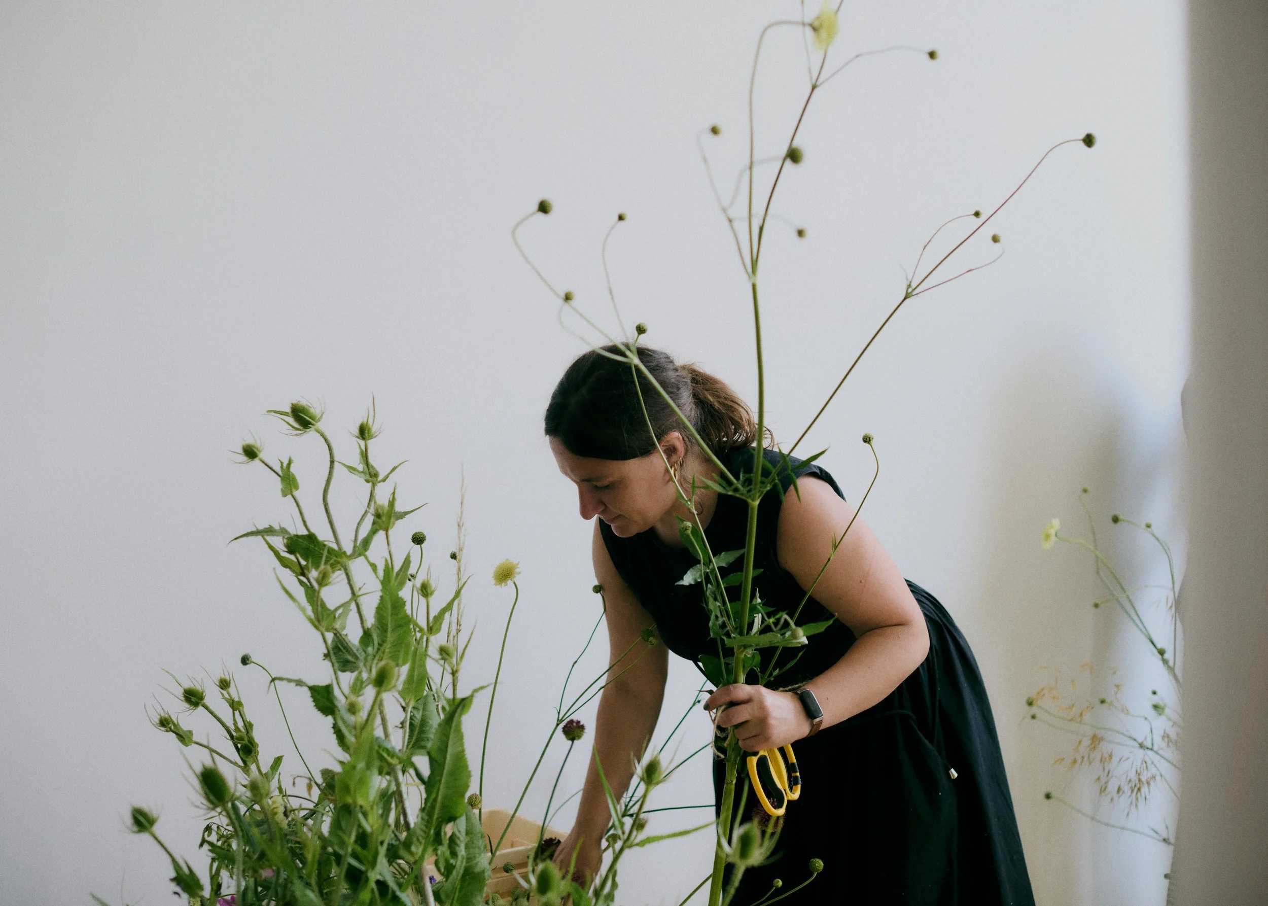 Copy of 259619_FlowersOnTheEdge_0478.jpg