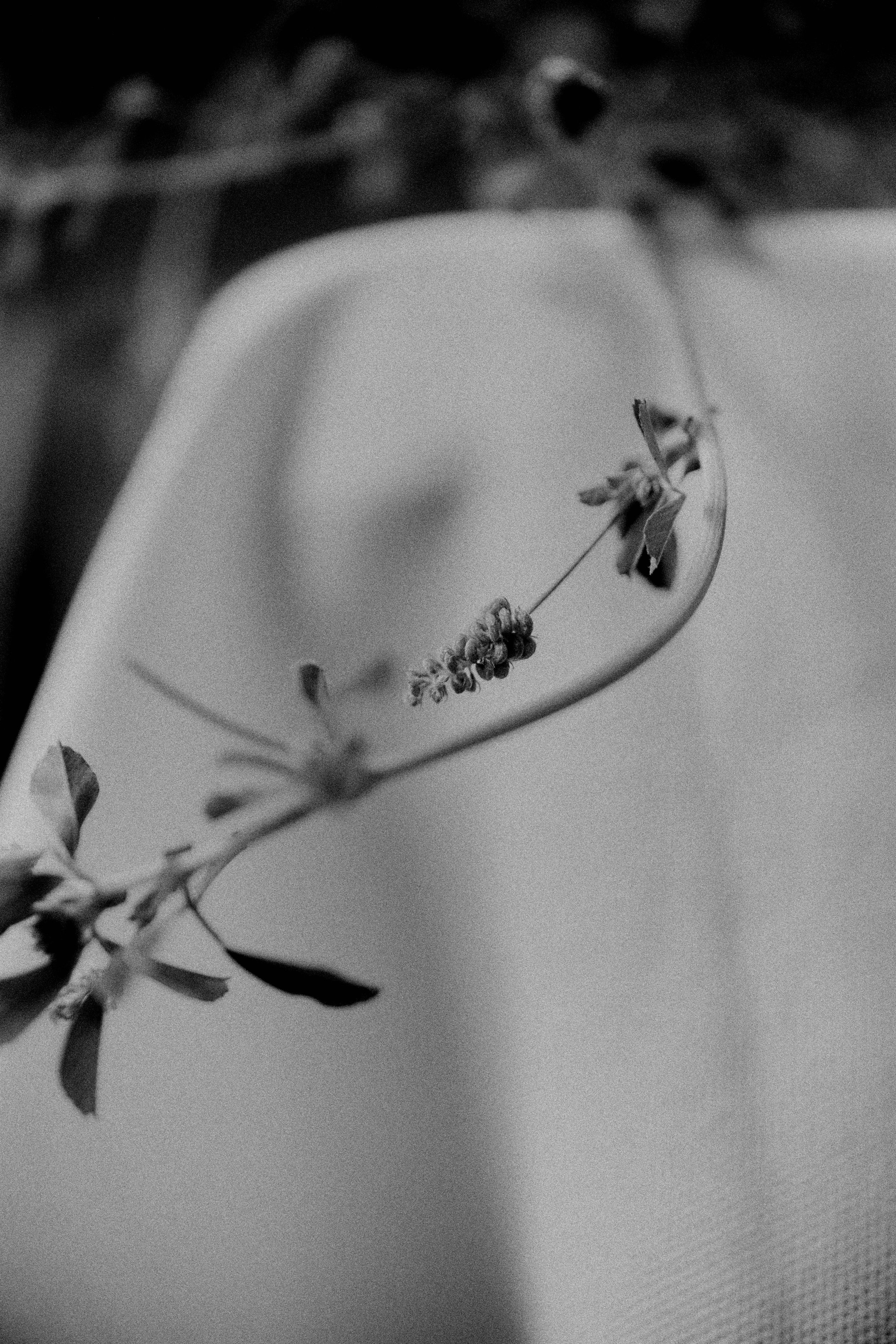 261801_FLOWERSONTHEEDGE_TILLYWACE_0713.jpg