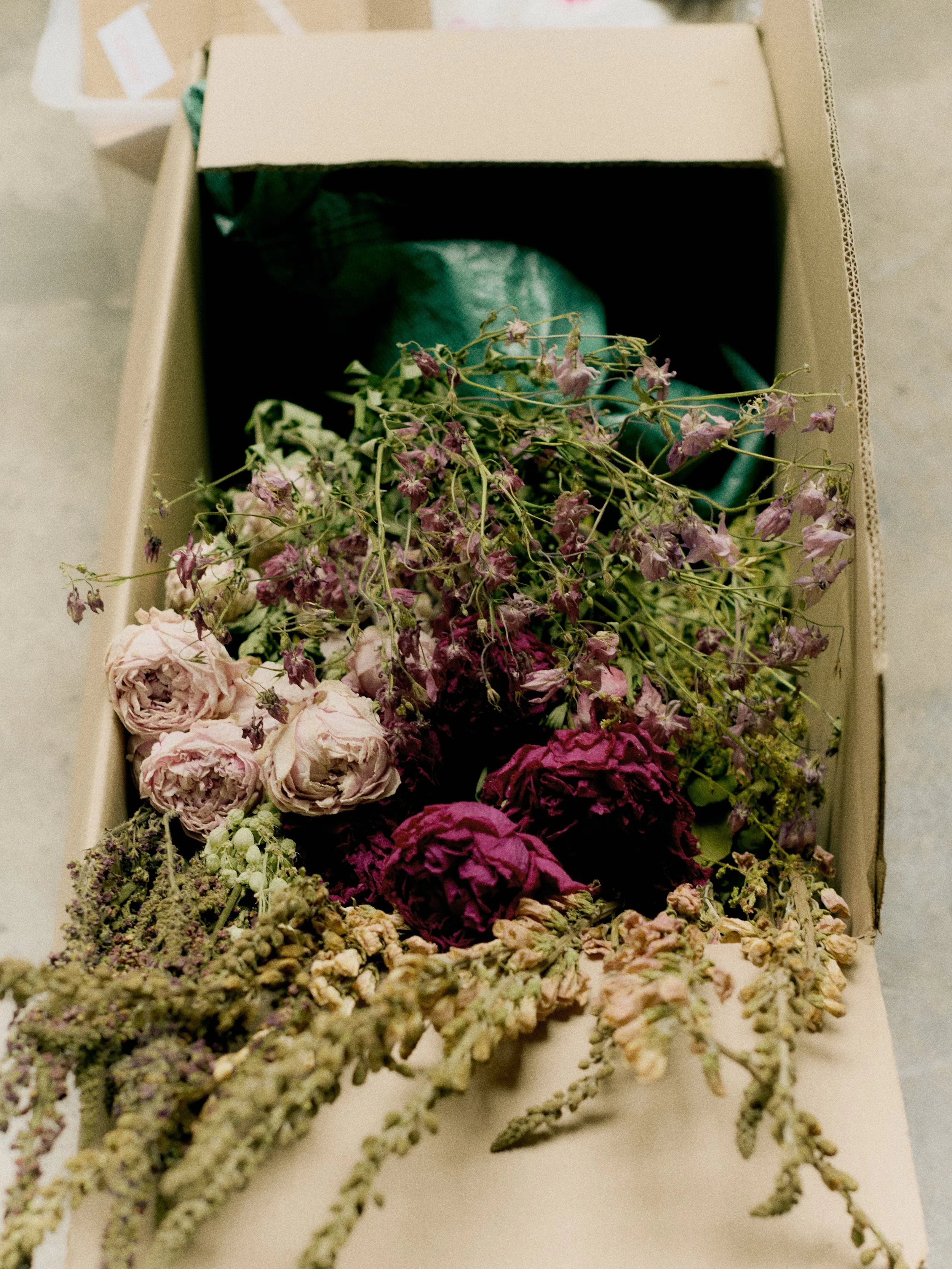 261801_FLOWERSONTHEEDGE_TILLYWACE_0221.jpg