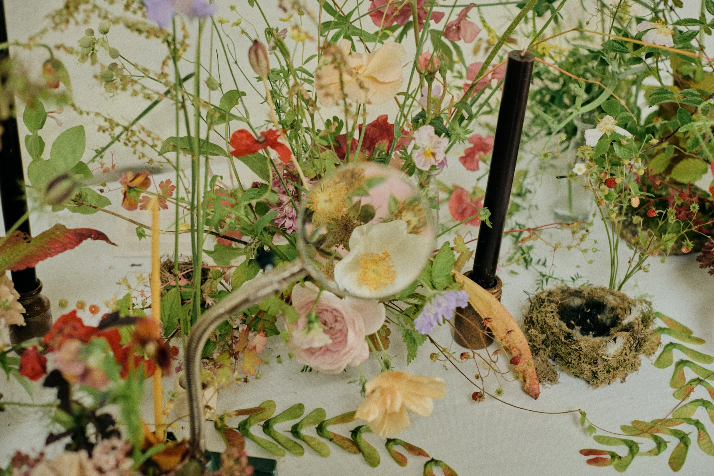 261801_FLOWERSONTHEEDGE_TILLYWACE_1513.jpg