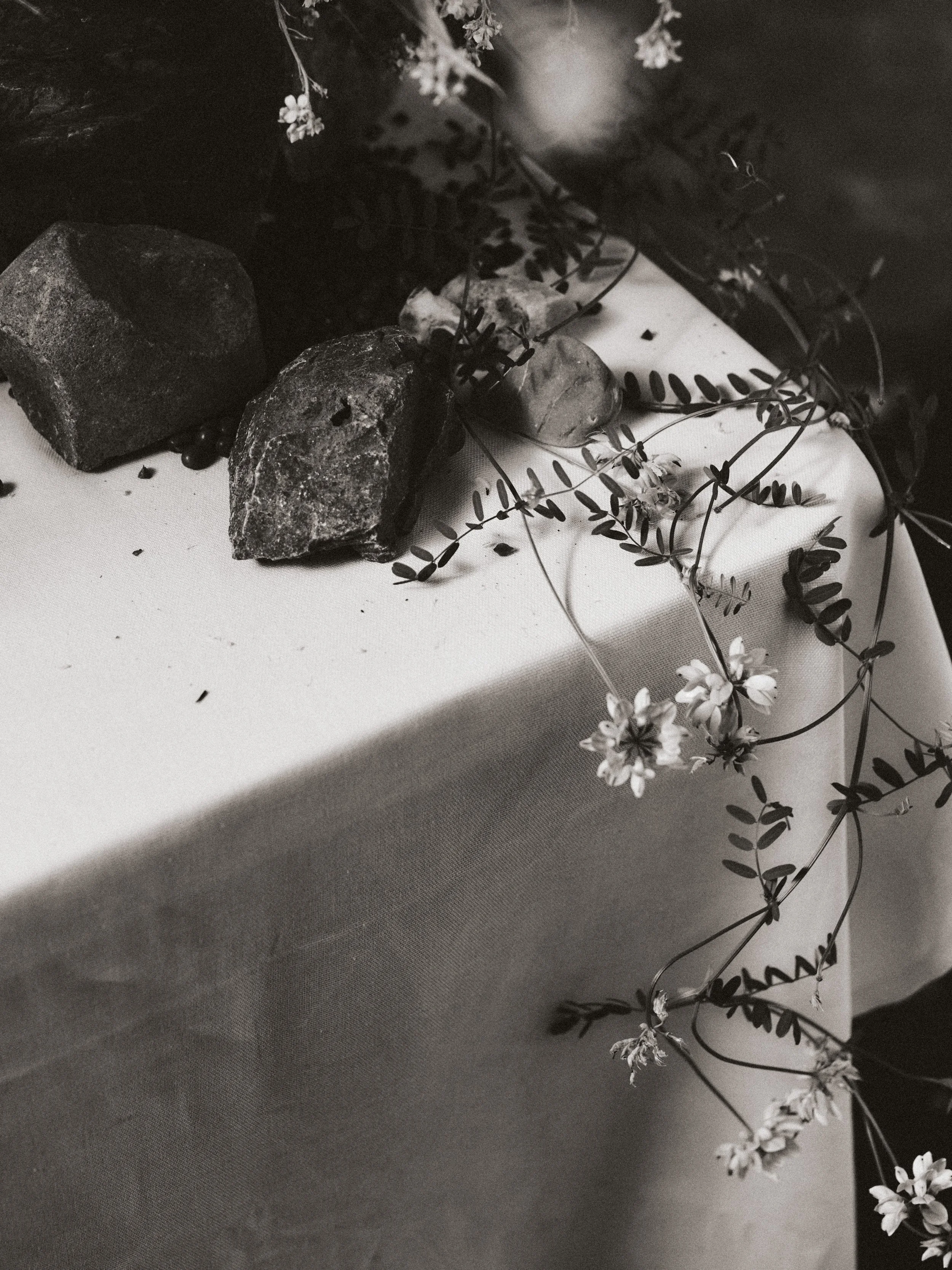 261801_FLOWERSONTHEEDGE_TILLYWACE_1482.jpg