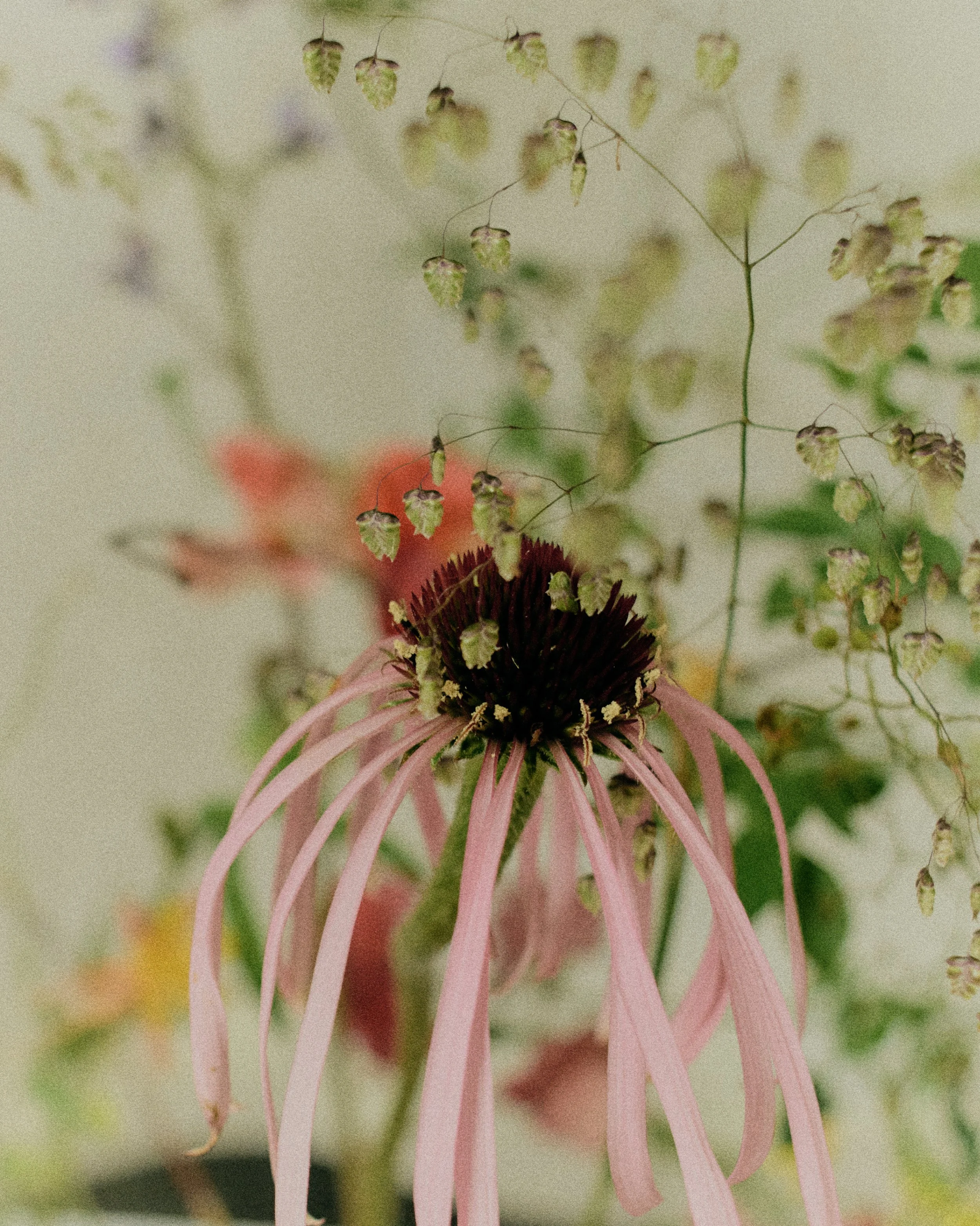 261801_FLOWERSONTHEEDGE_TILLYWACE_1339.jpg