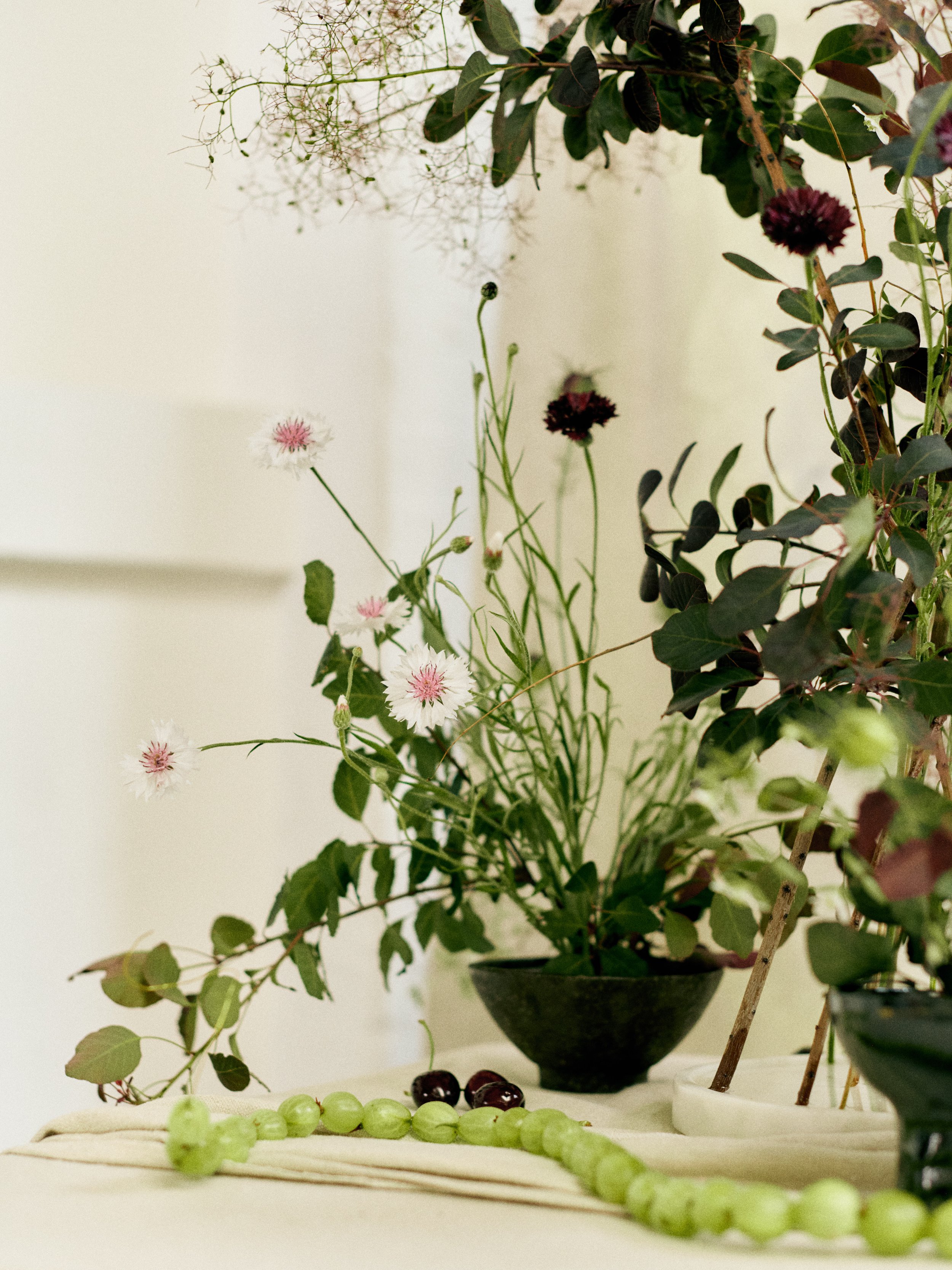 261801_FLOWERSONTHEEDGE_TILLYWACE_1589.jpg