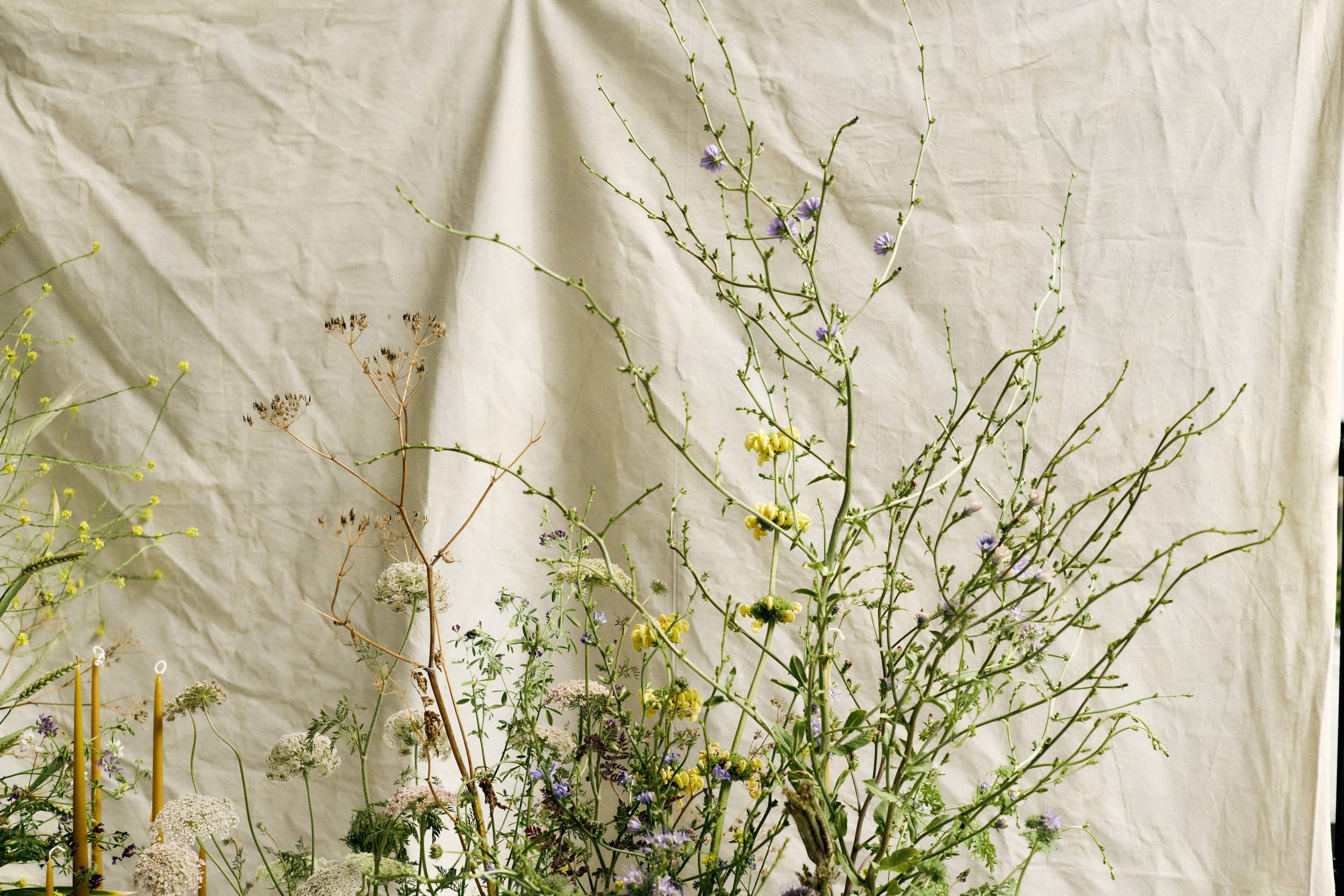 261801_FLOWERSONTHEEDGE_TILLYWACE_1311.jpg