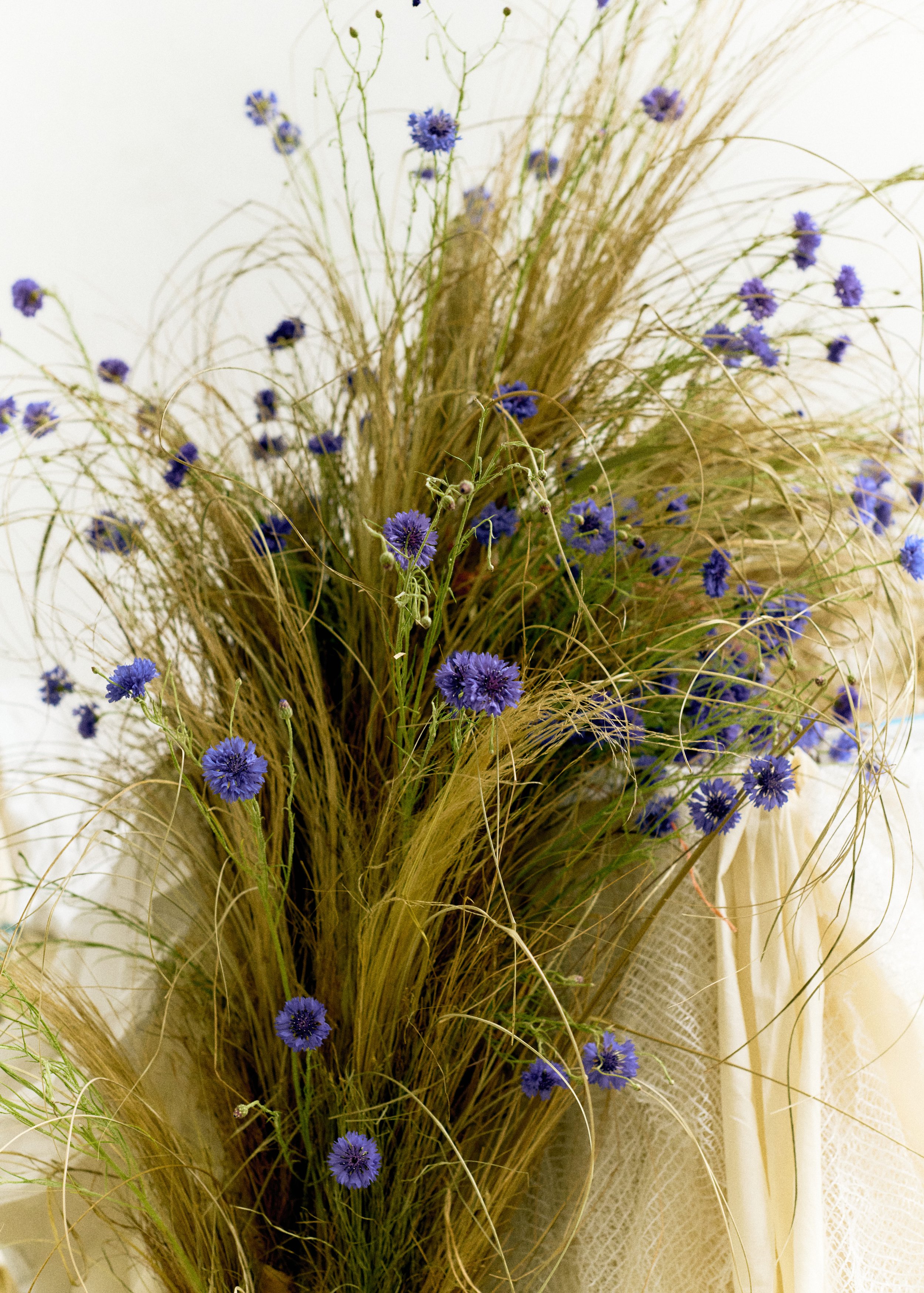 261801_FLOWERSONTHEEDGE_TILLYWACE_0856.jpg
