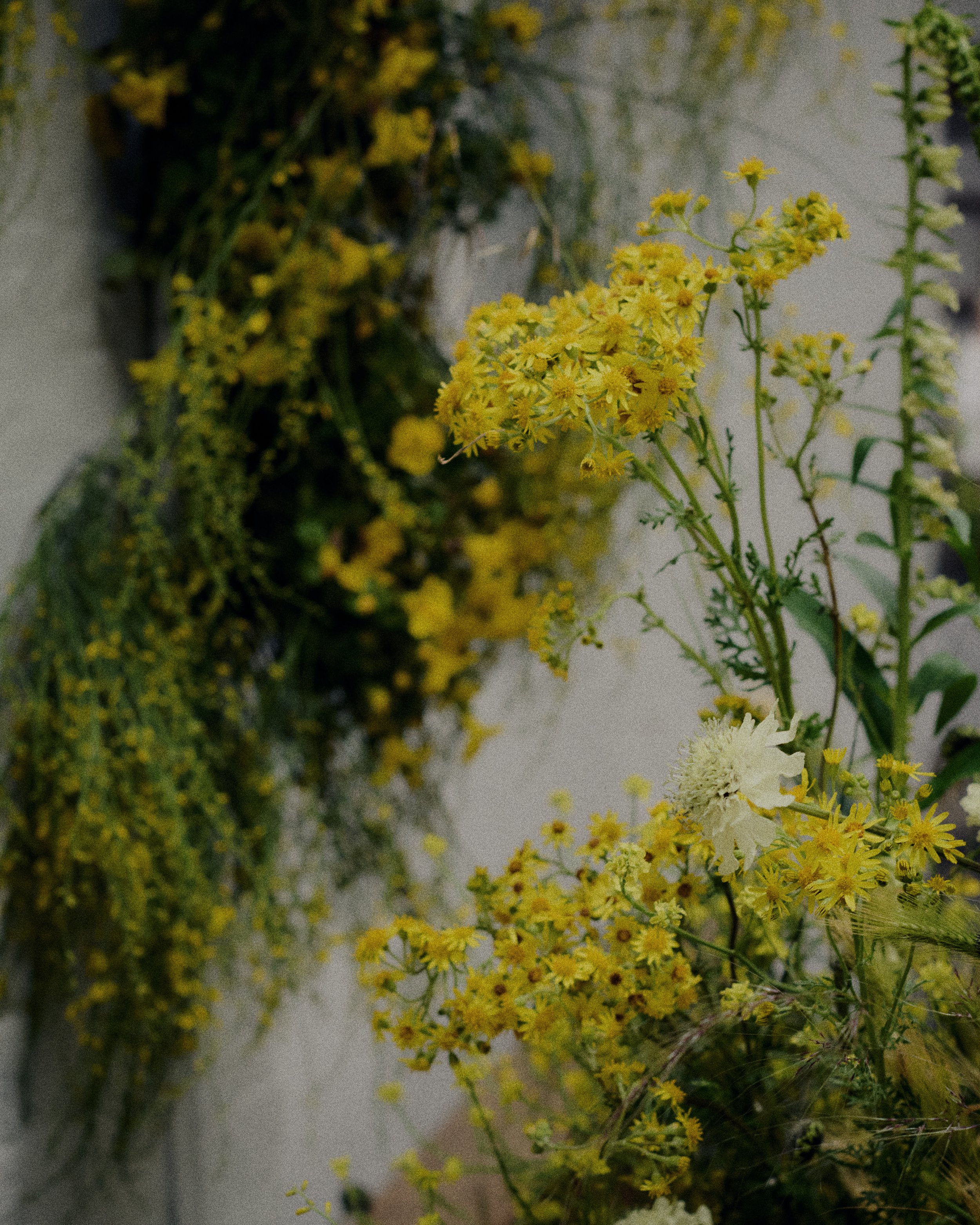 261801_FLOWERSONTHEEDGE_TILLYWACE_1071.jpg