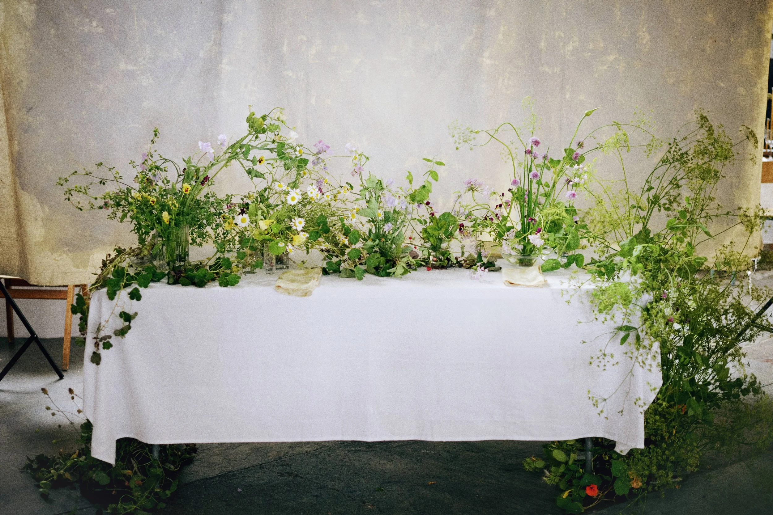 Botanical Tales & Flowers by Cosmos
