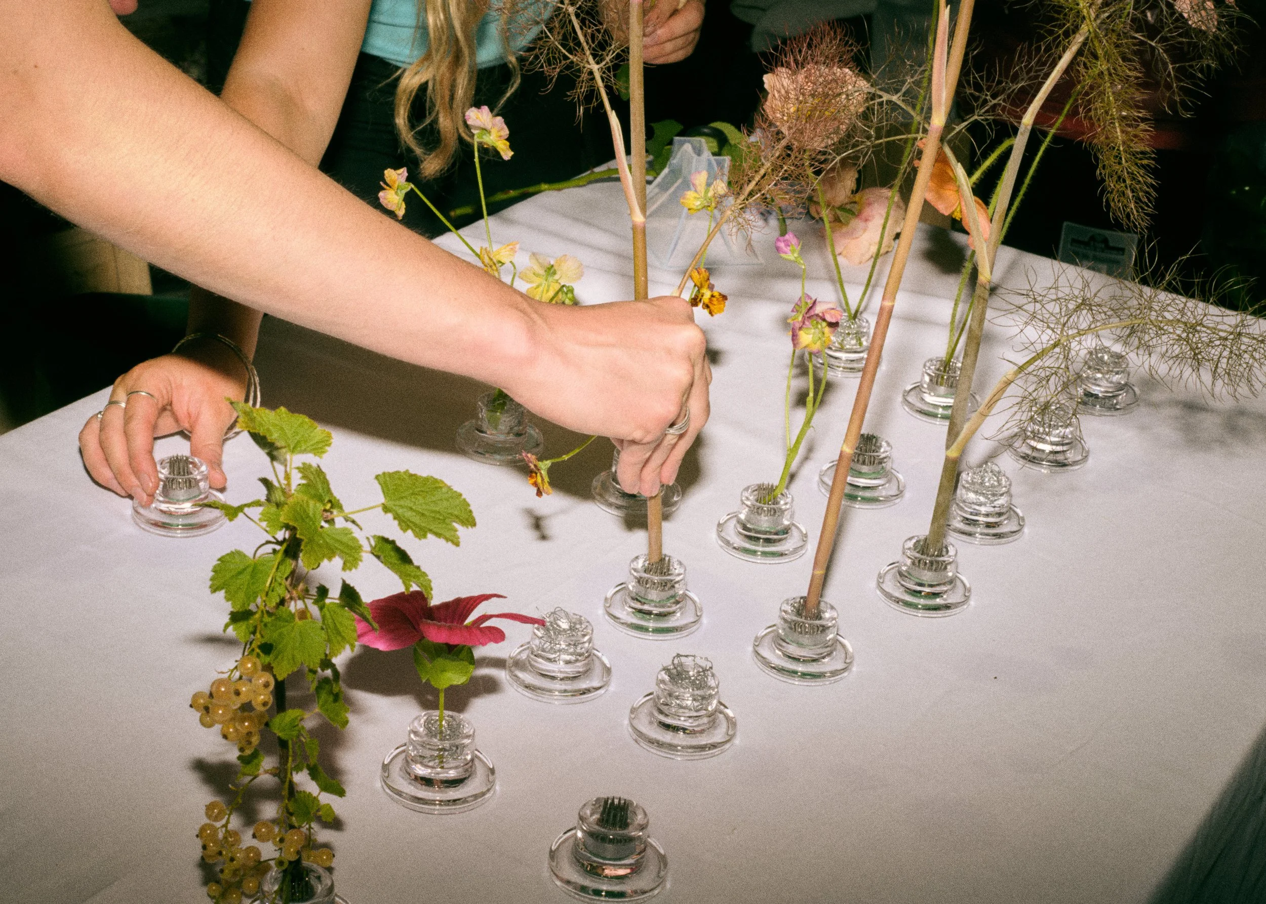 261801_FLOWERSONTHEEDGE_TILLYWACE_0474.jpg