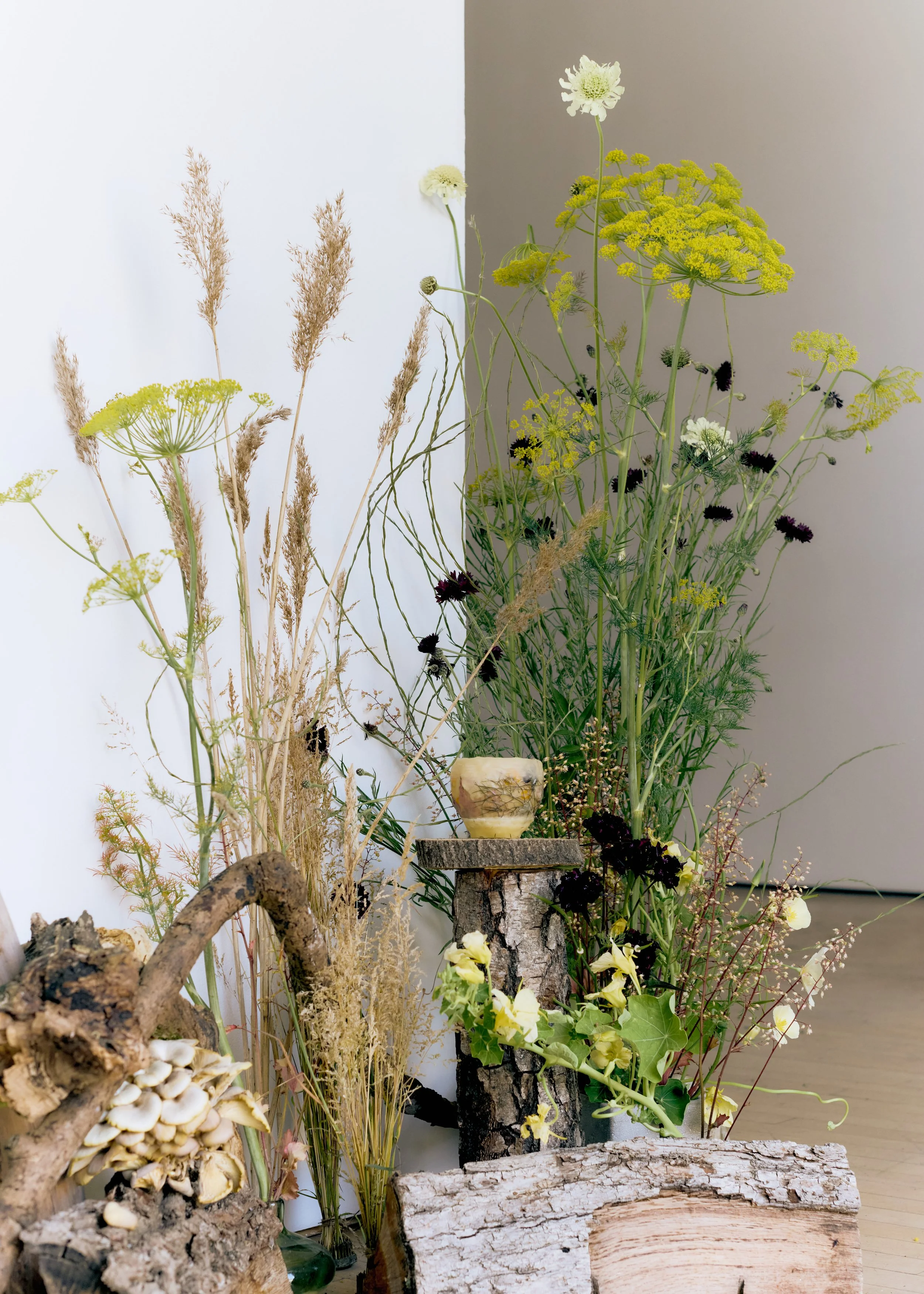 Copy of 259619_FlowersOnTheEdge_0958.jpg