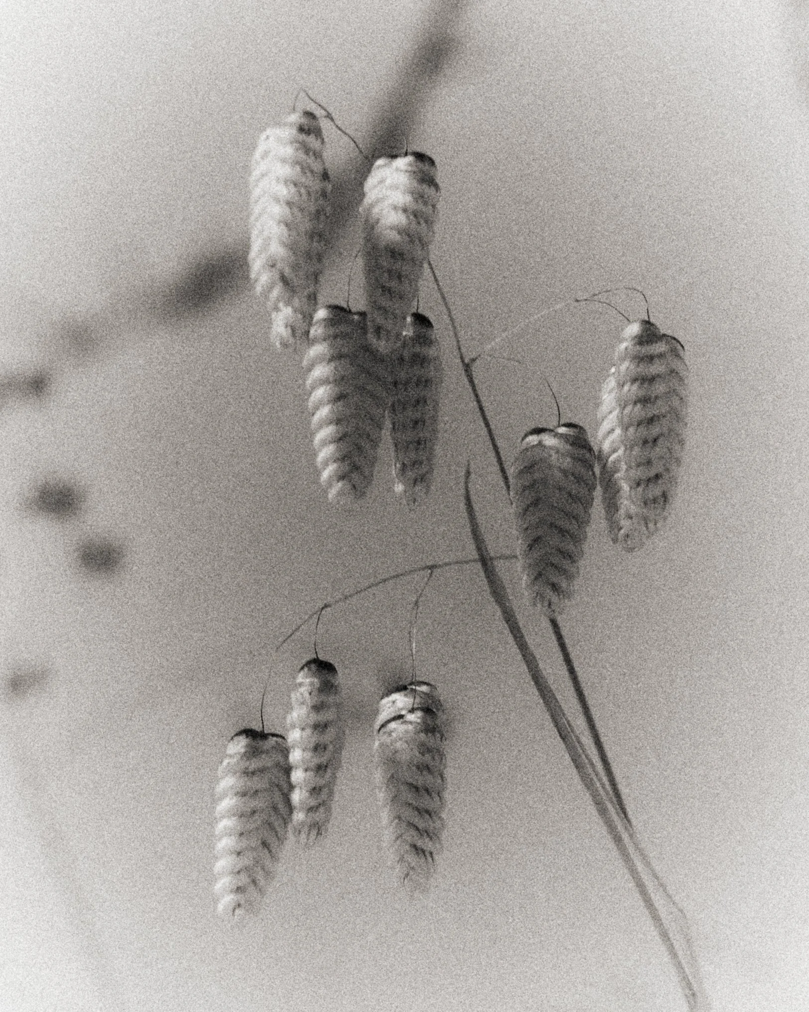 261801_FLOWERSONTHEEDGE_TILLYWACE_1358.jpg