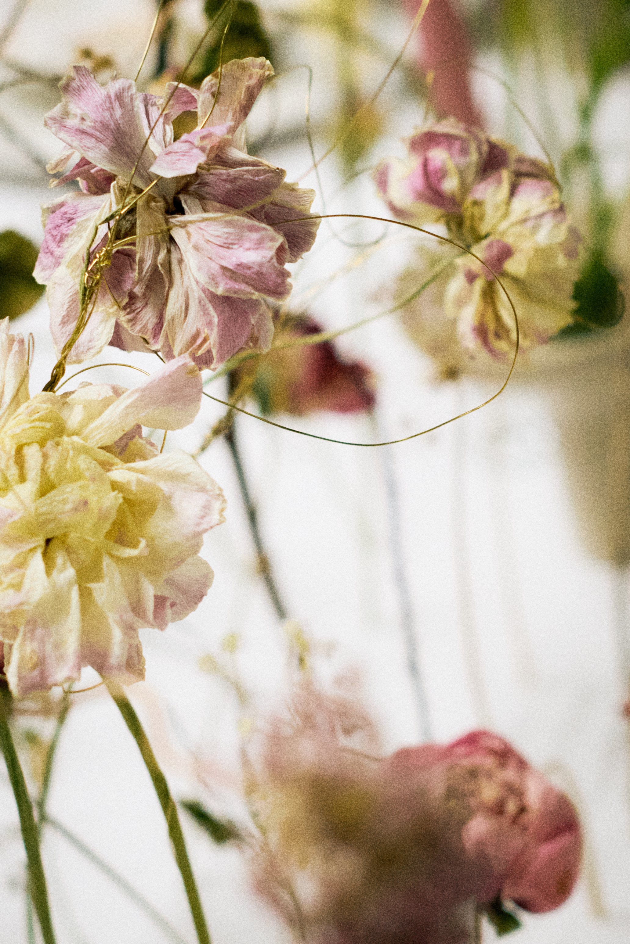 261801_FLOWERSONTHEEDGE_TILLYWACE_1141.jpg