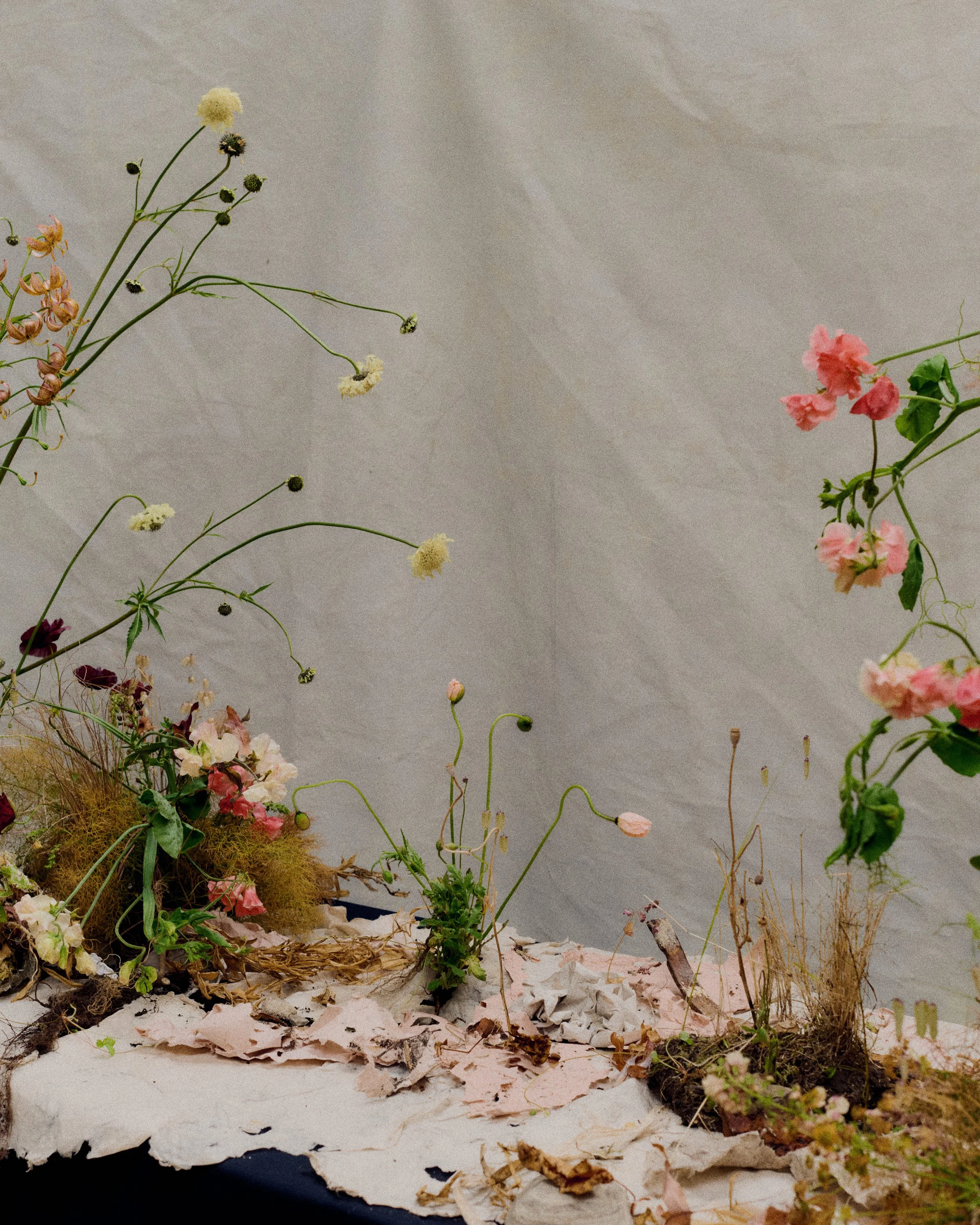 261801_FLOWERSONTHEEDGE_TILLYWACE_0913.jpg