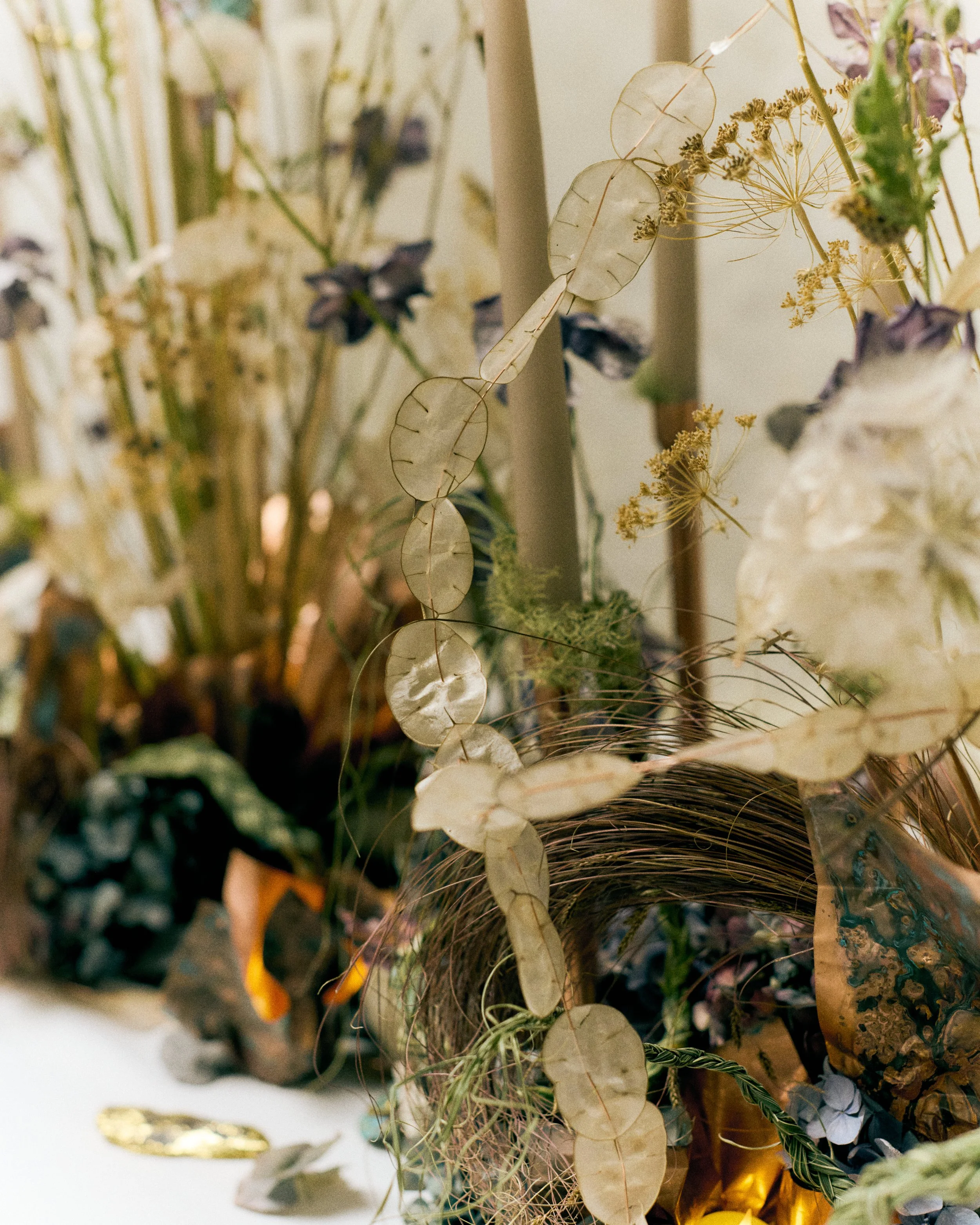 261801_FLOWERSONTHEEDGE_TILLYWACE_1368.jpg