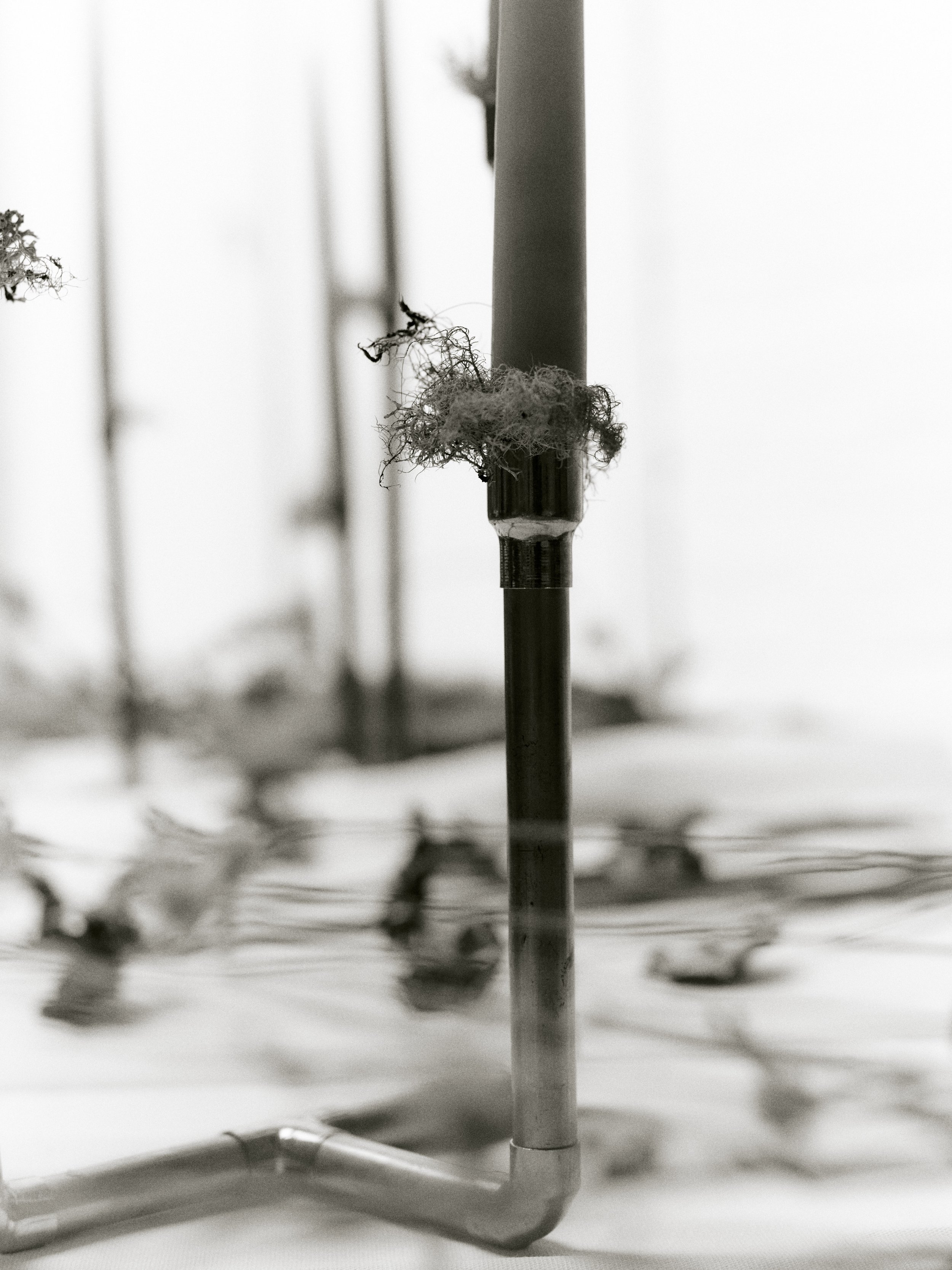 261801_FLOWERSONTHEEDGE_TILLYWACE_0491.jpg