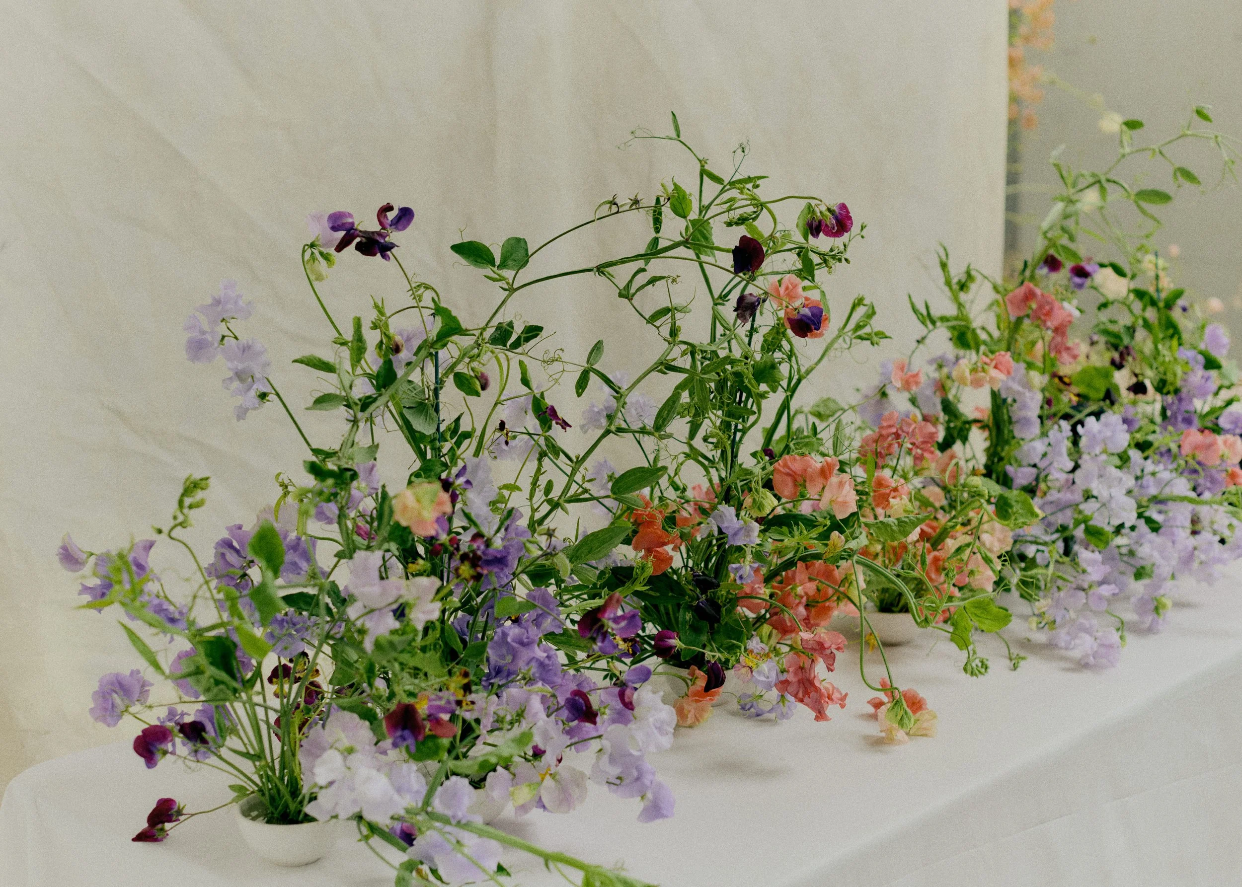 261801_FLOWERSONTHEEDGE_TILLYWACE_1018.jpg