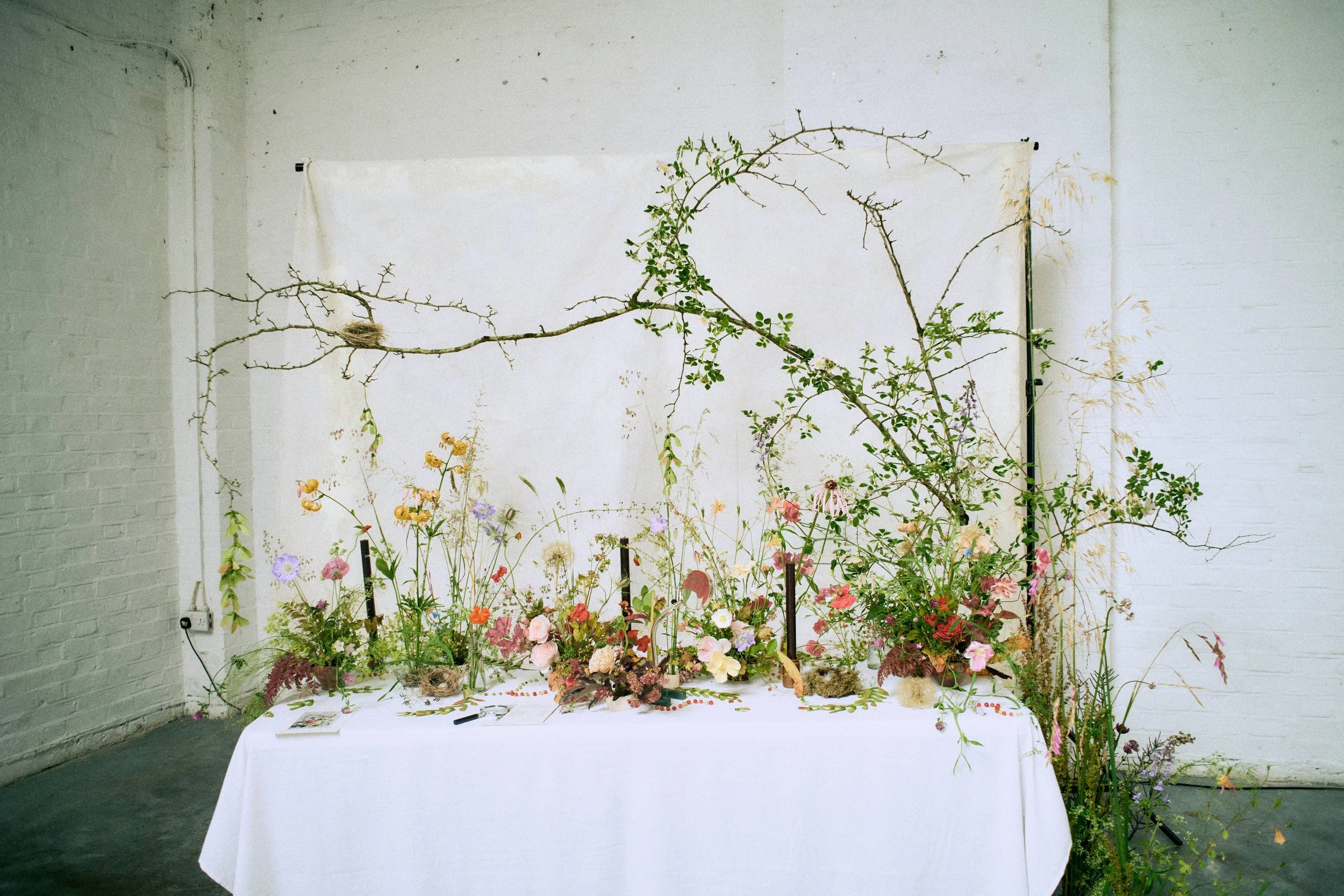 Joanna Game Flowers & Heathland Flowers