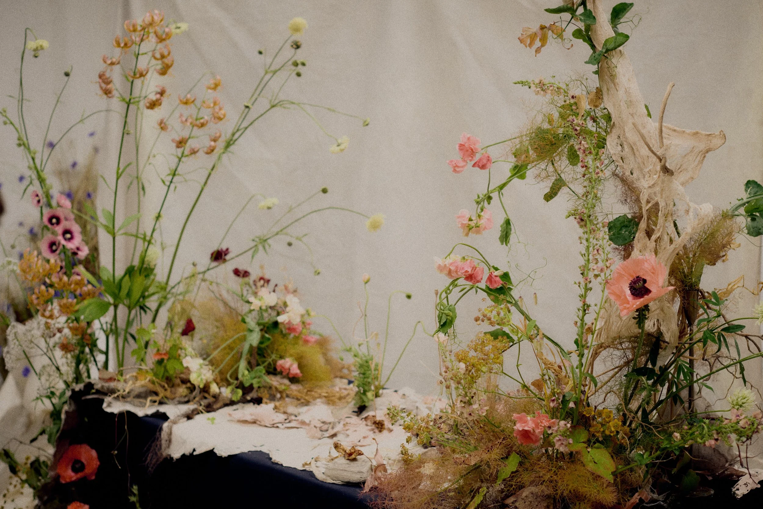 261801_FLOWERSONTHEEDGE_TILLYWACE_0970.jpg