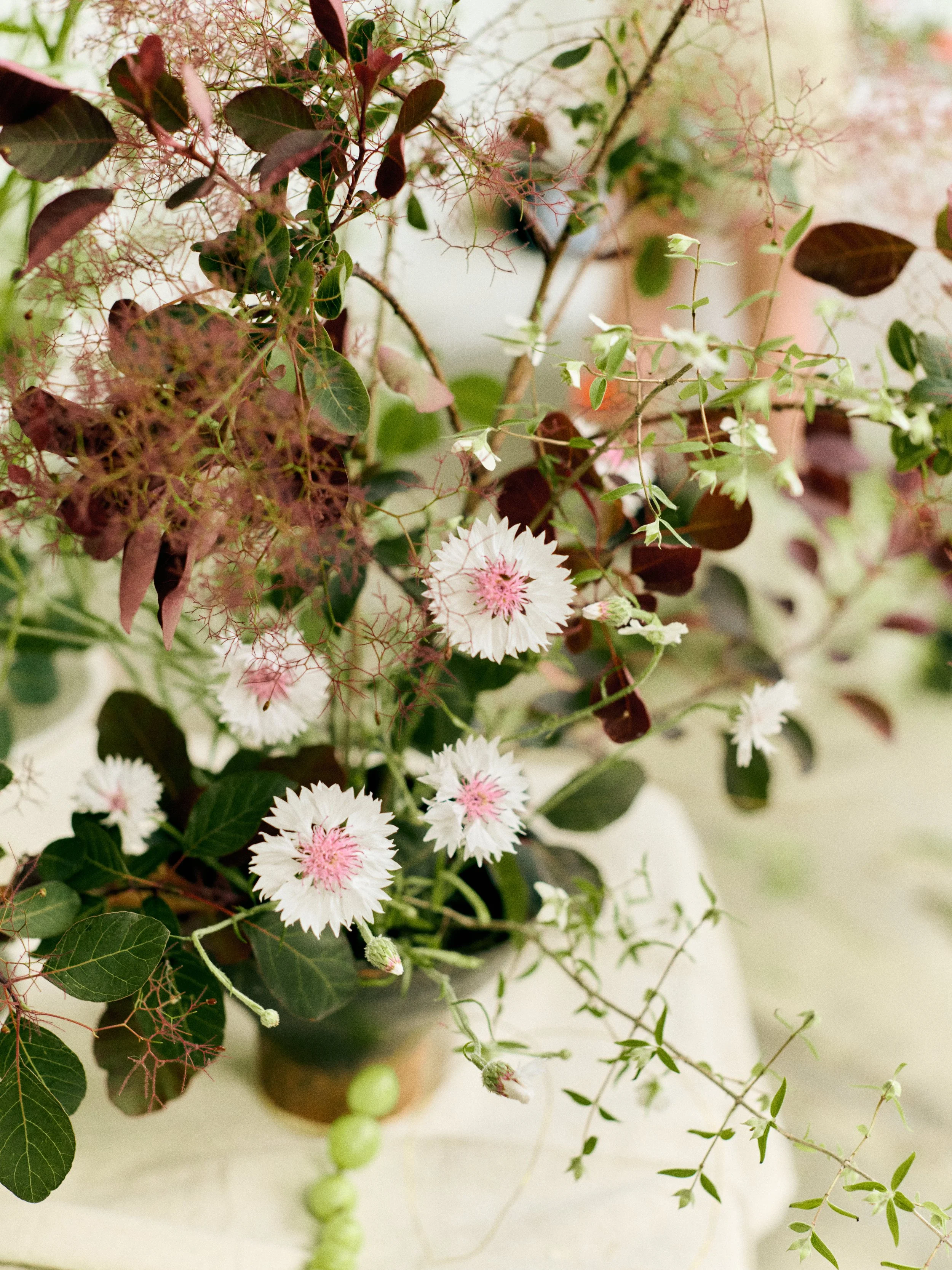 261801_FLOWERSONTHEEDGE_TILLYWACE_0790.jpg