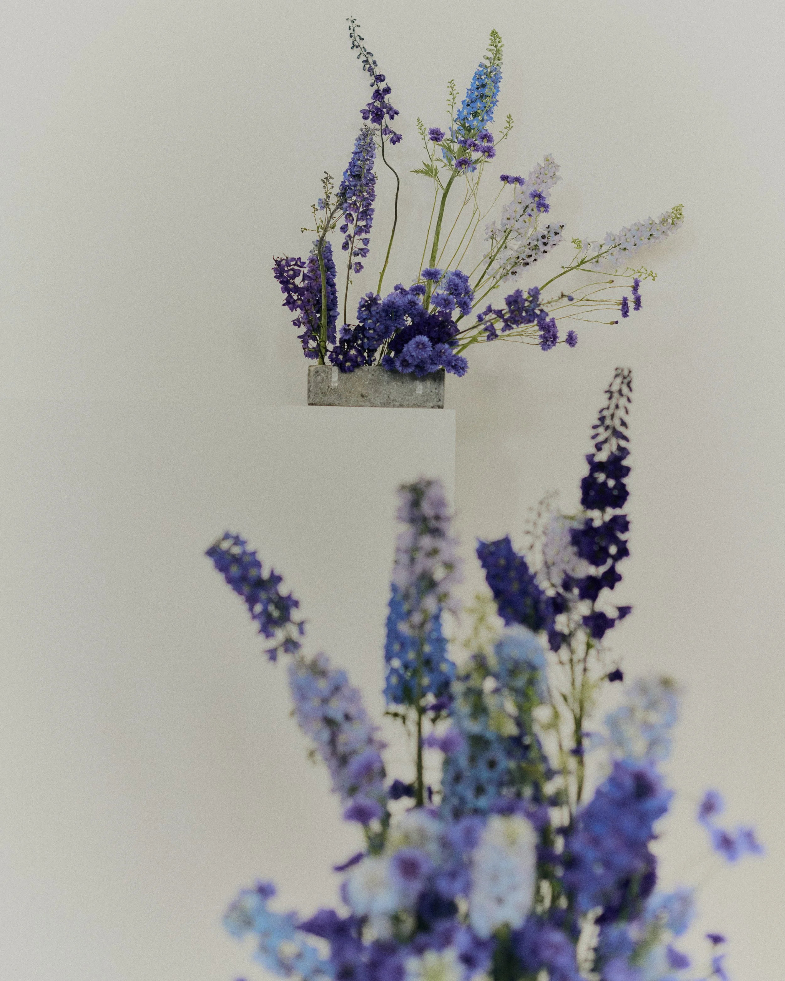 Copy of 259619_FlowersOnTheEdge_0761.jpg