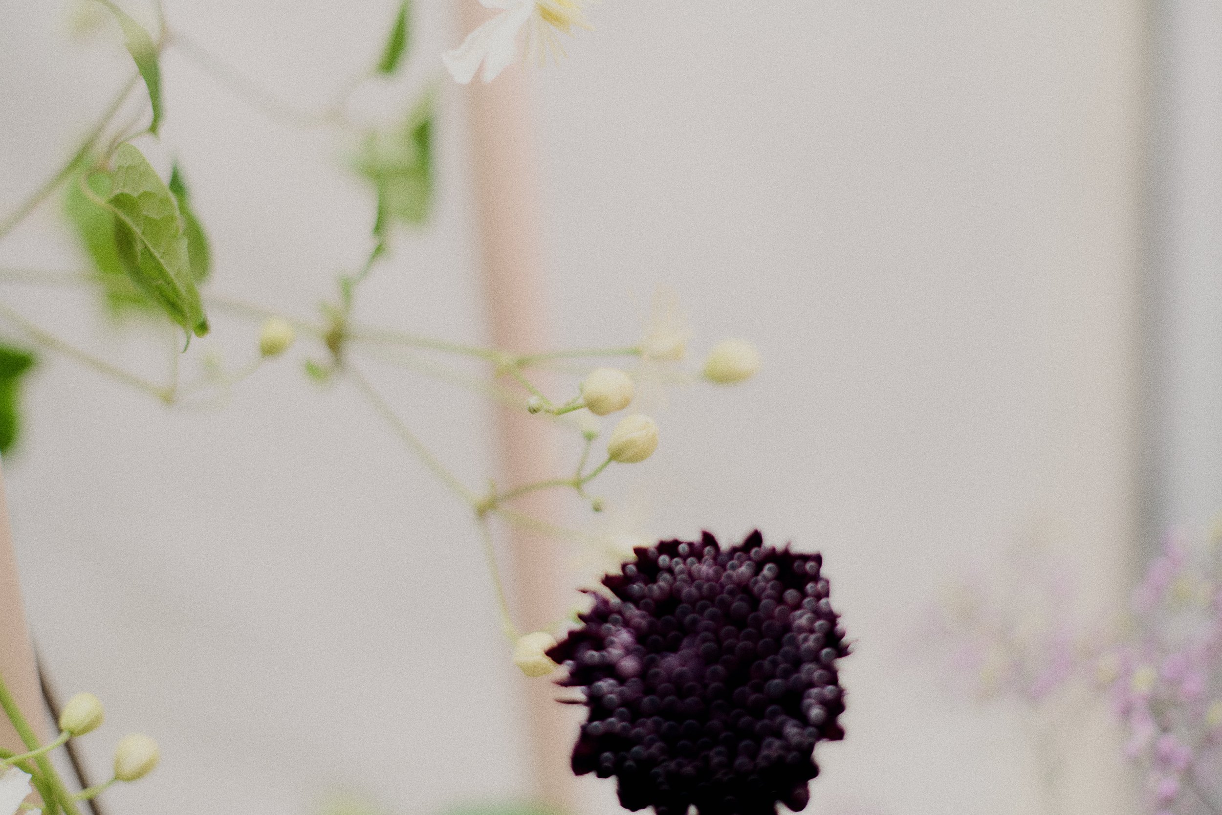 261801_FLOWERSONTHEEDGE_TILLYWACE_1660.jpg