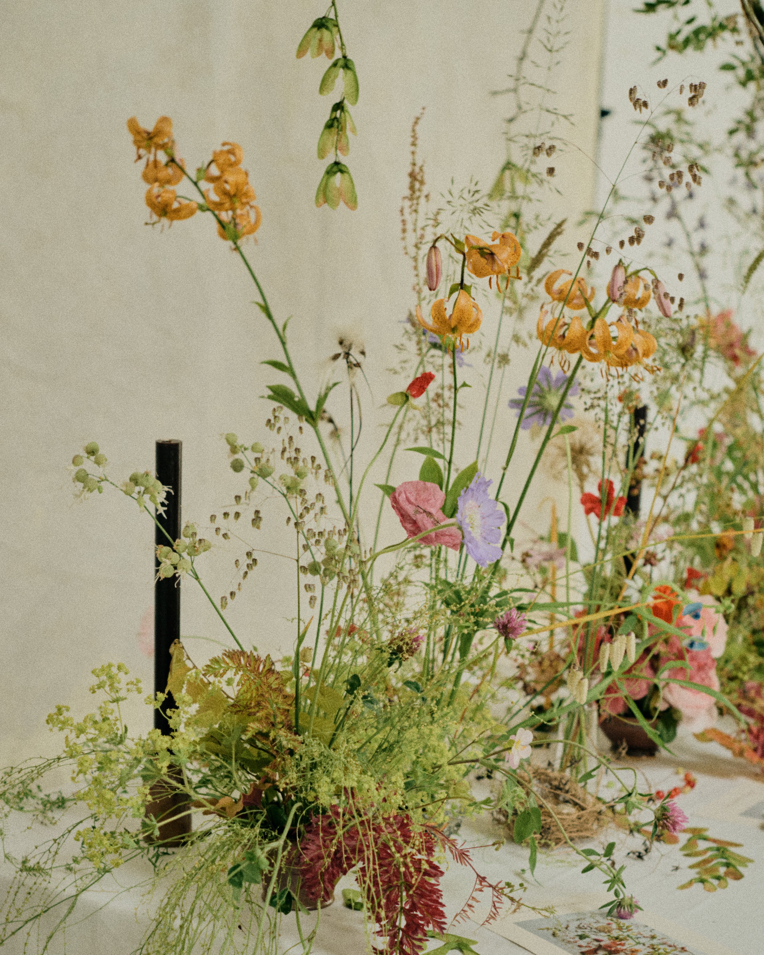 261801_FLOWERSONTHEEDGE_TILLYWACE_1514.jpg