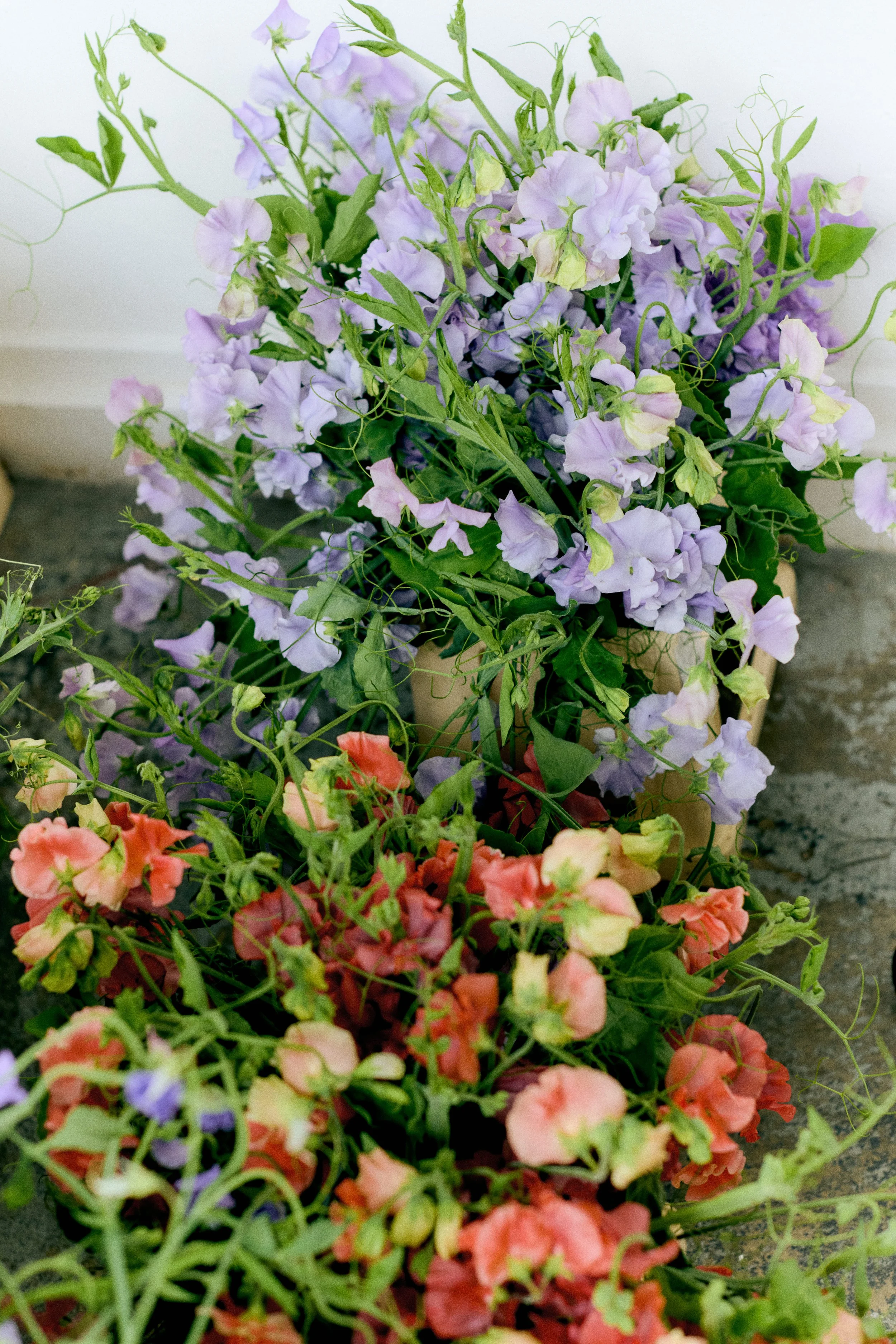 261801_FLOWERSONTHEEDGE_TILLYWACE_0266.jpg