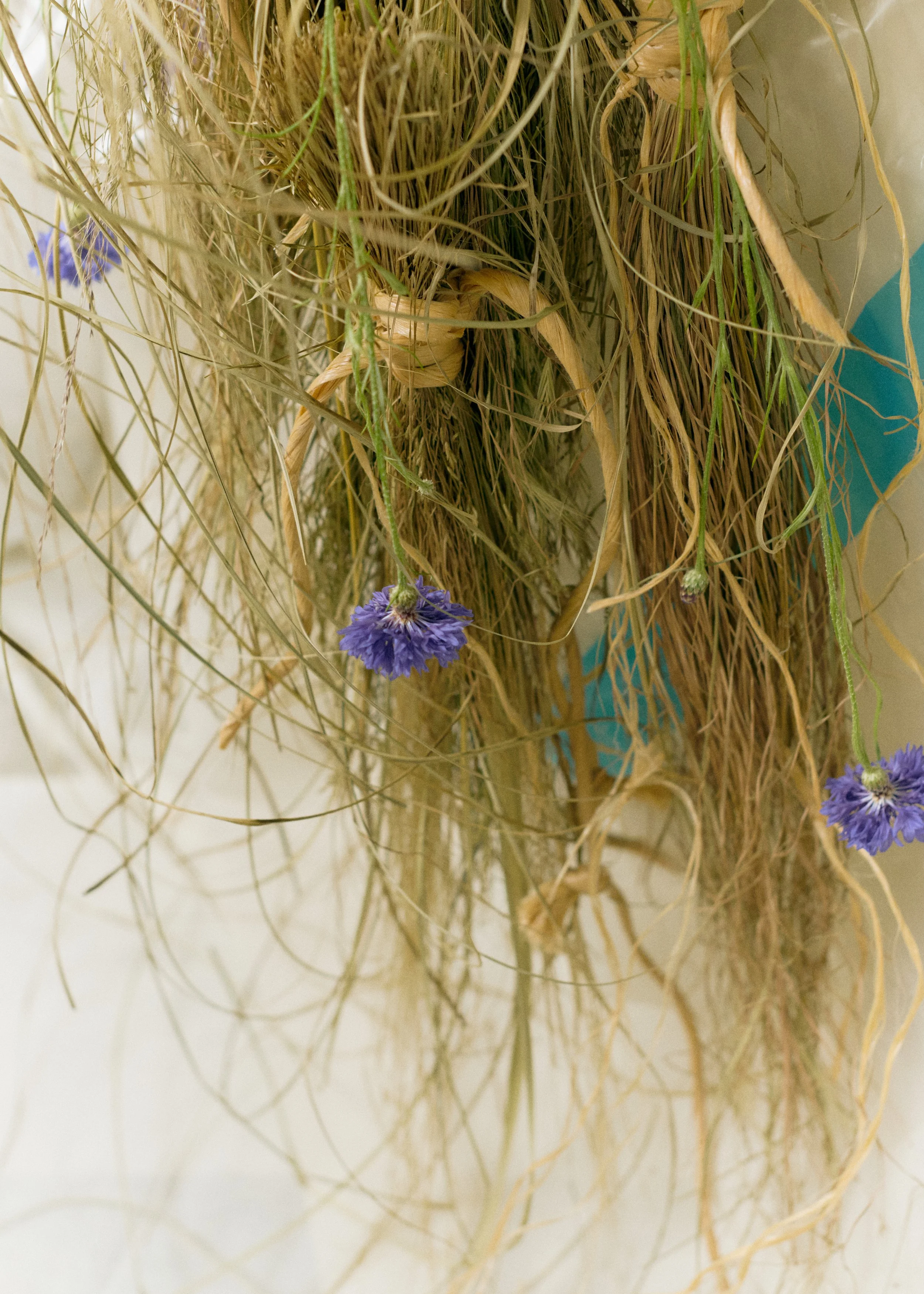 261801_FLOWERSONTHEEDGE_TILLYWACE_0880.jpg