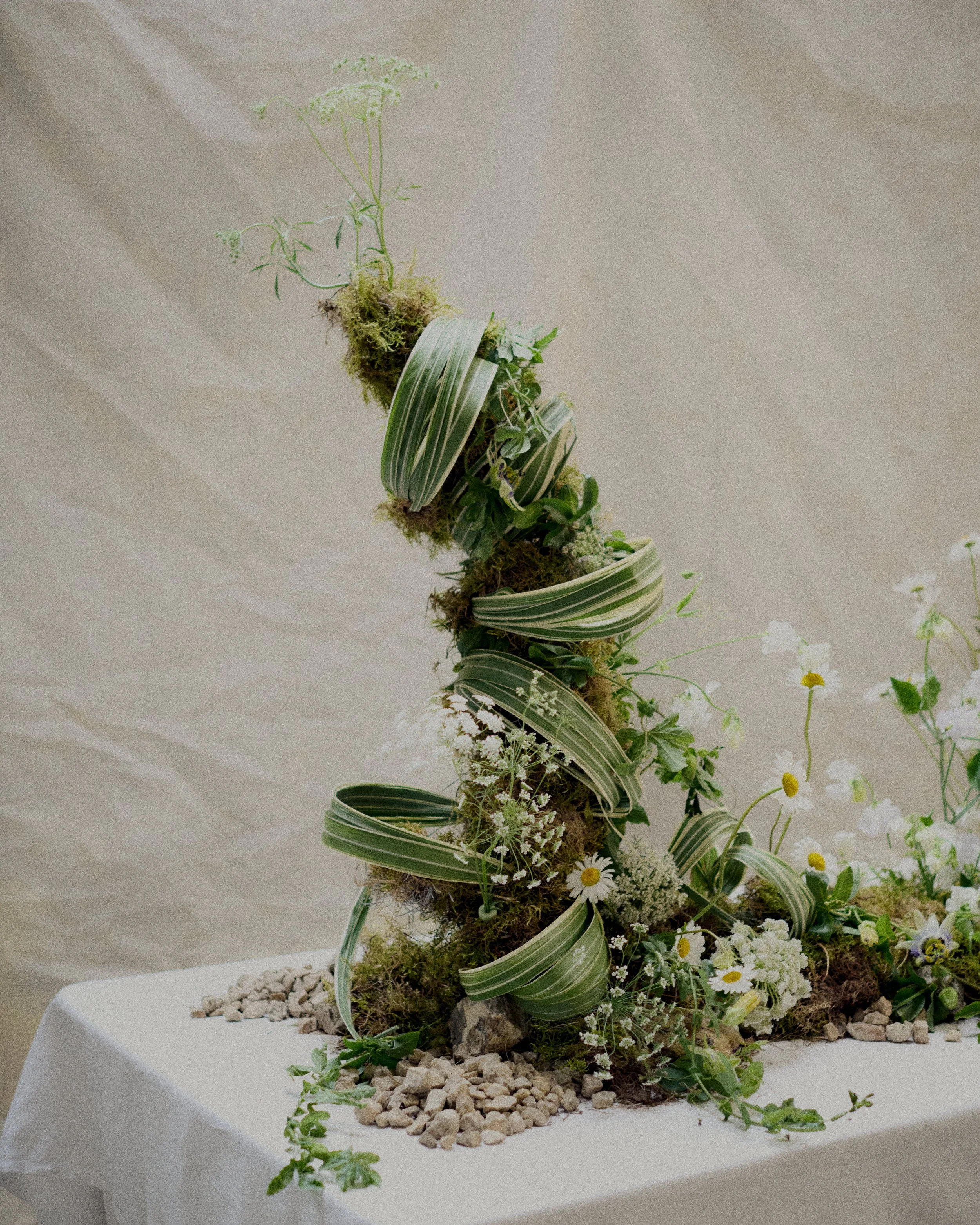 261801_FLOWERSONTHEEDGE_TILLYWACE_1760.jpg