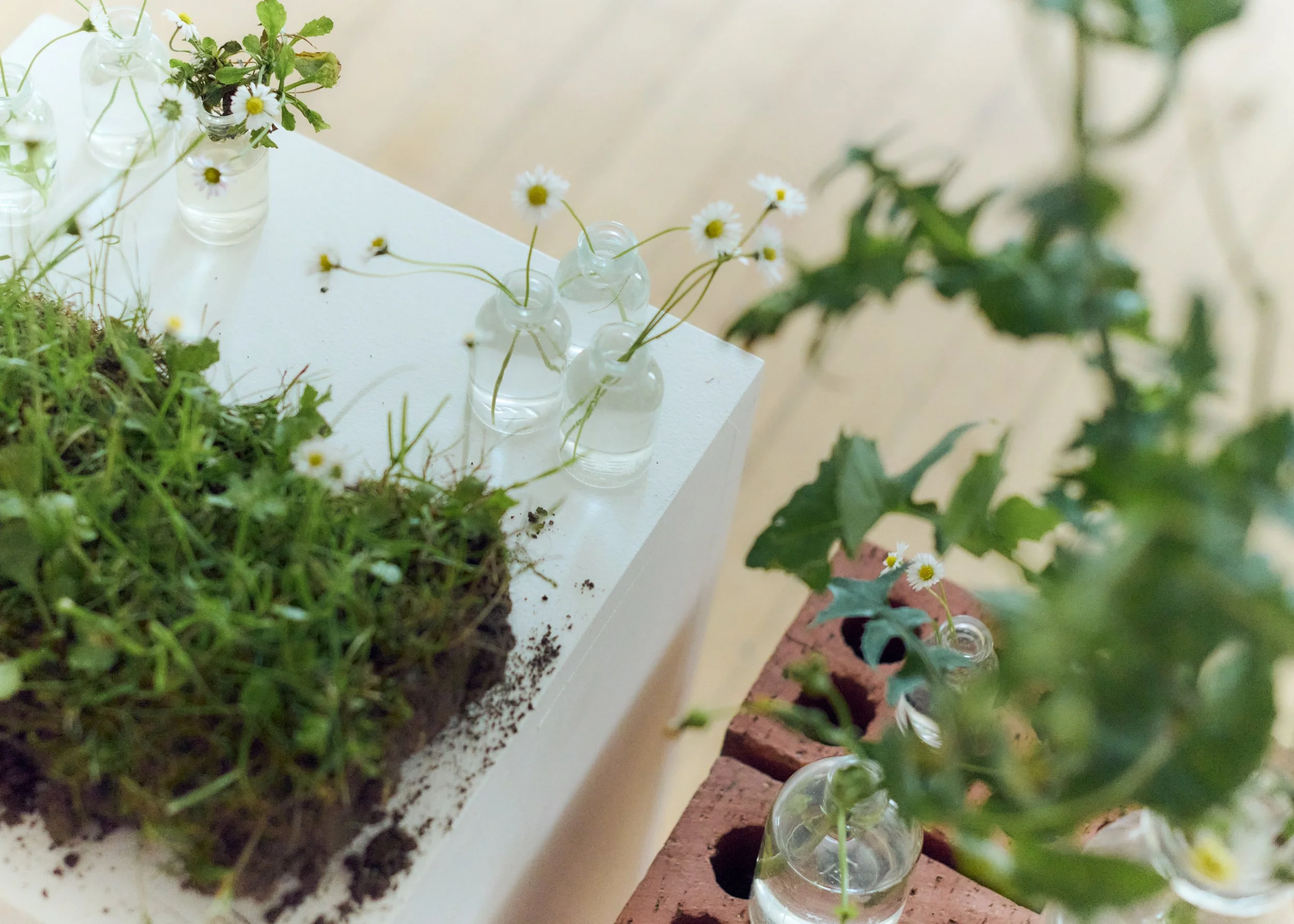 Copy of 259619_FlowersOnTheEdge_0759.jpg