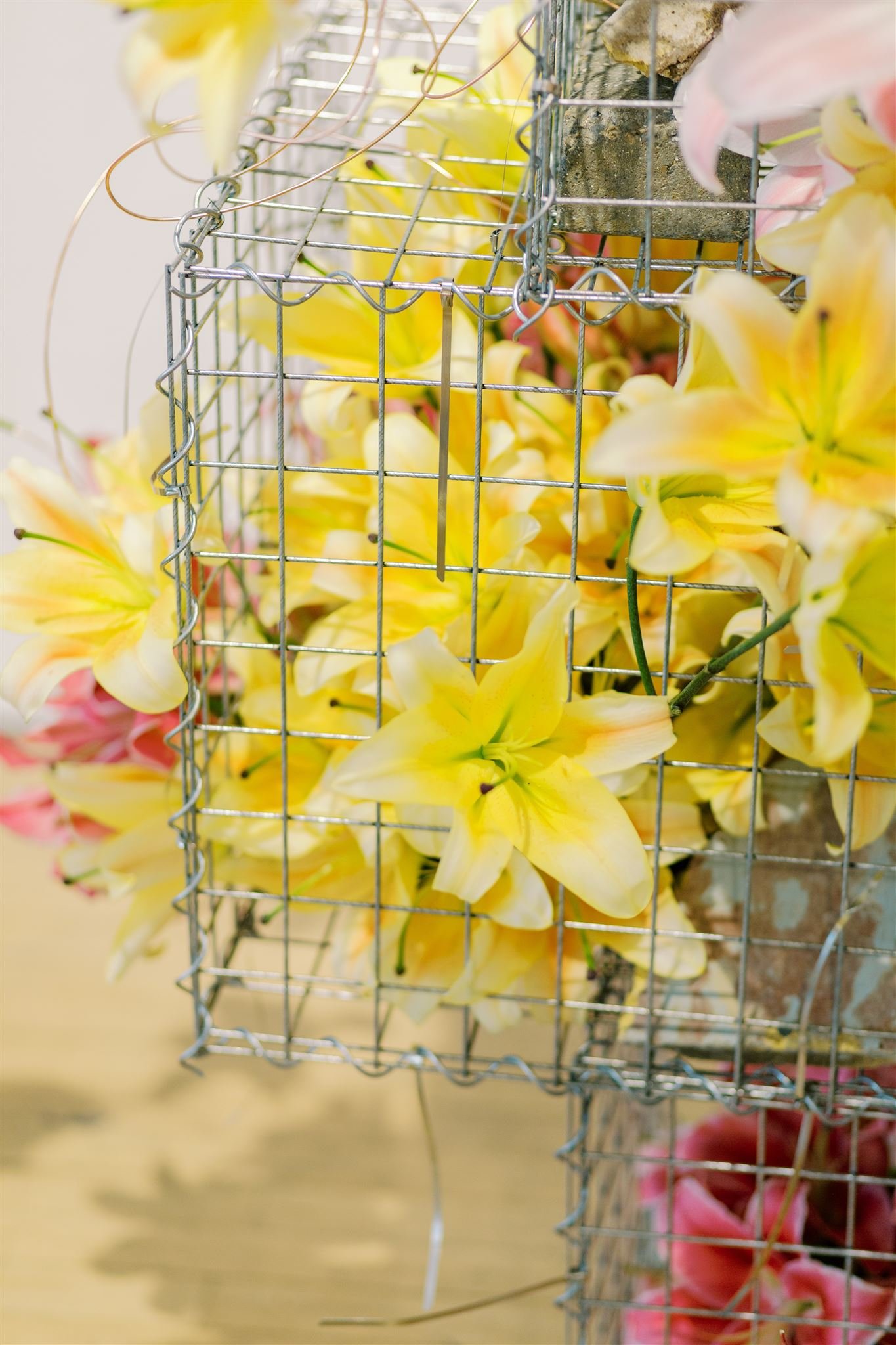 8a of Not Salad 5.JPG