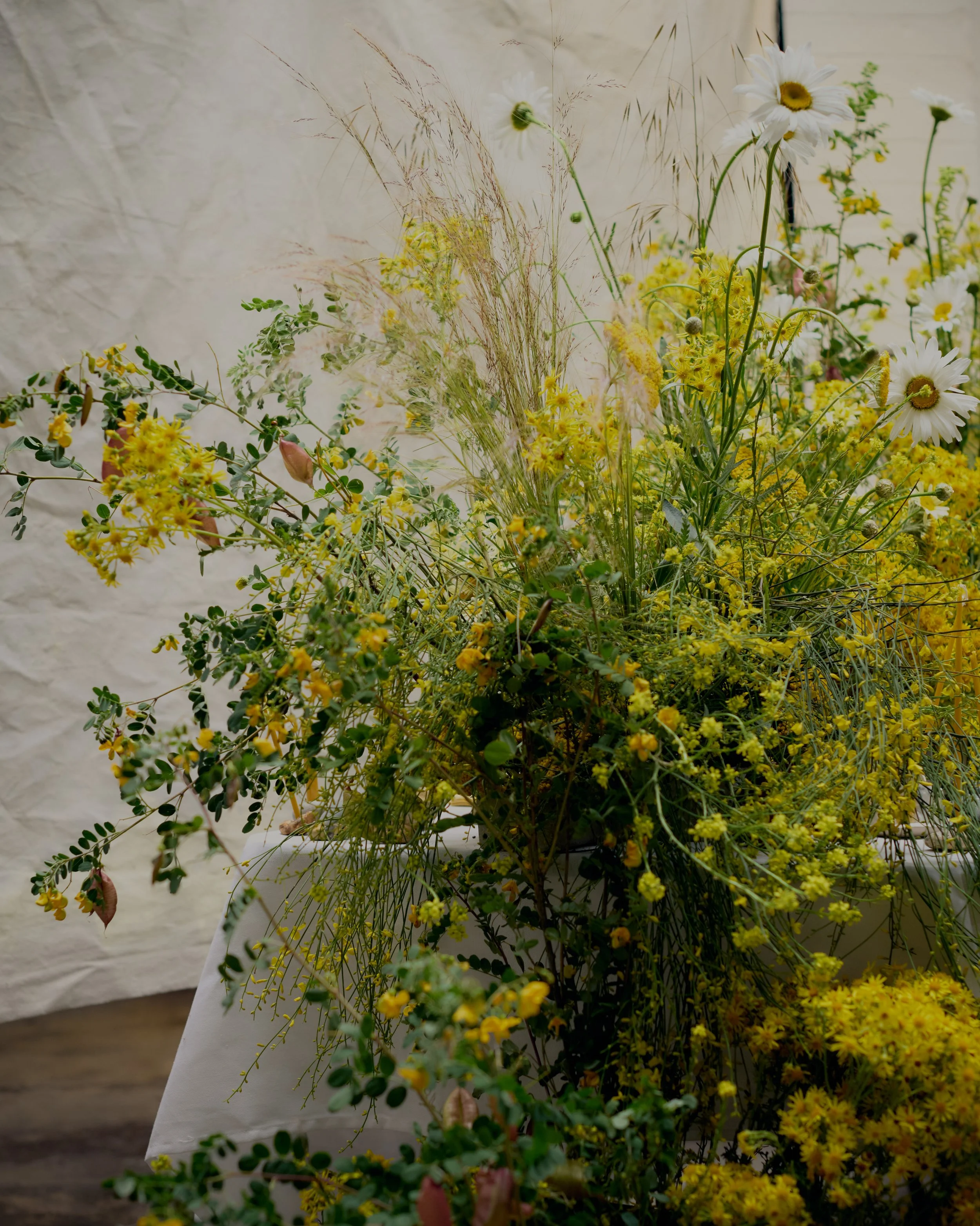 261801_FLOWERSONTHEEDGE_TILLYWACE_1043.jpg