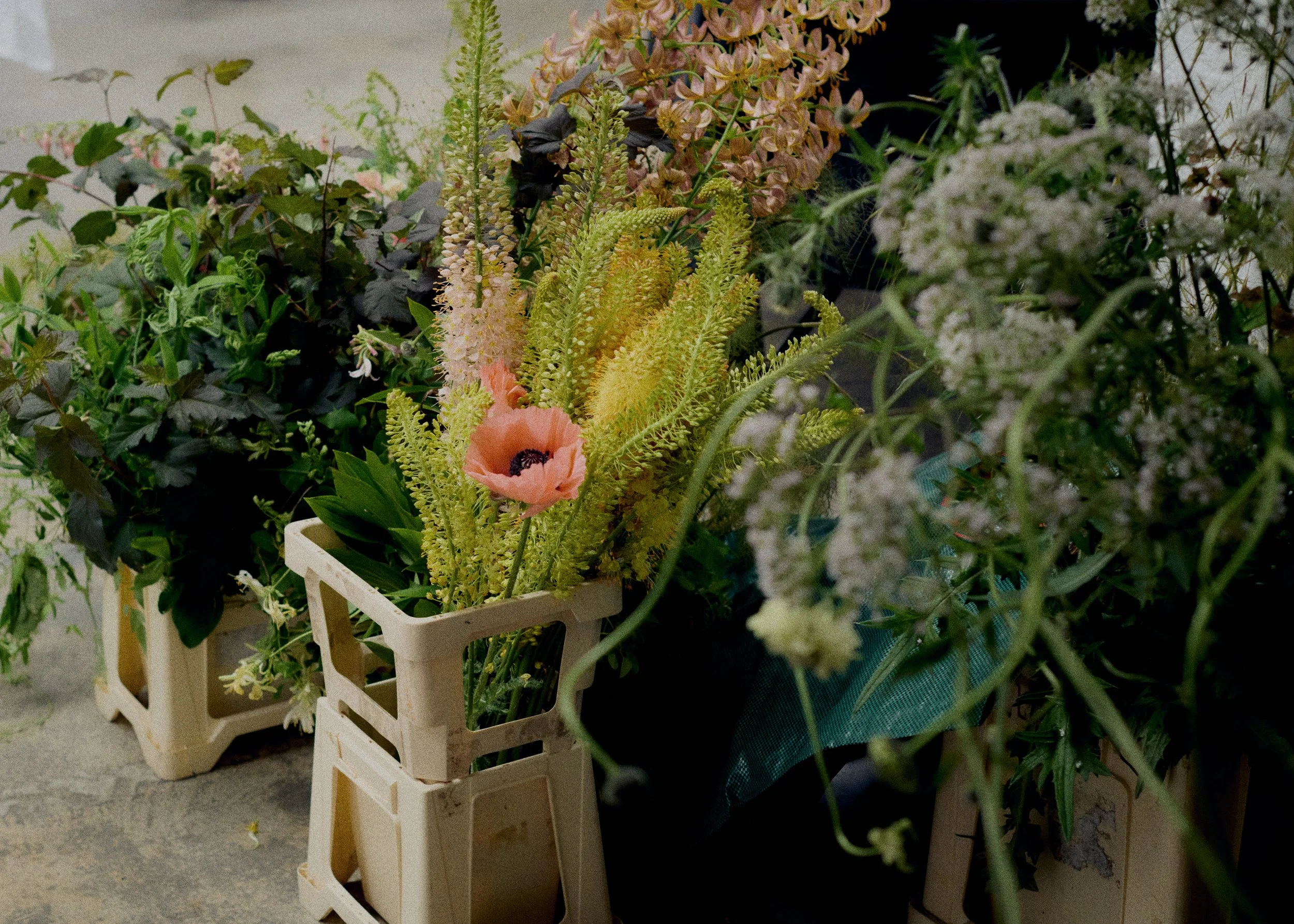 261801_FLOWERSONTHEEDGE_TILLYWACE_0169.jpg
