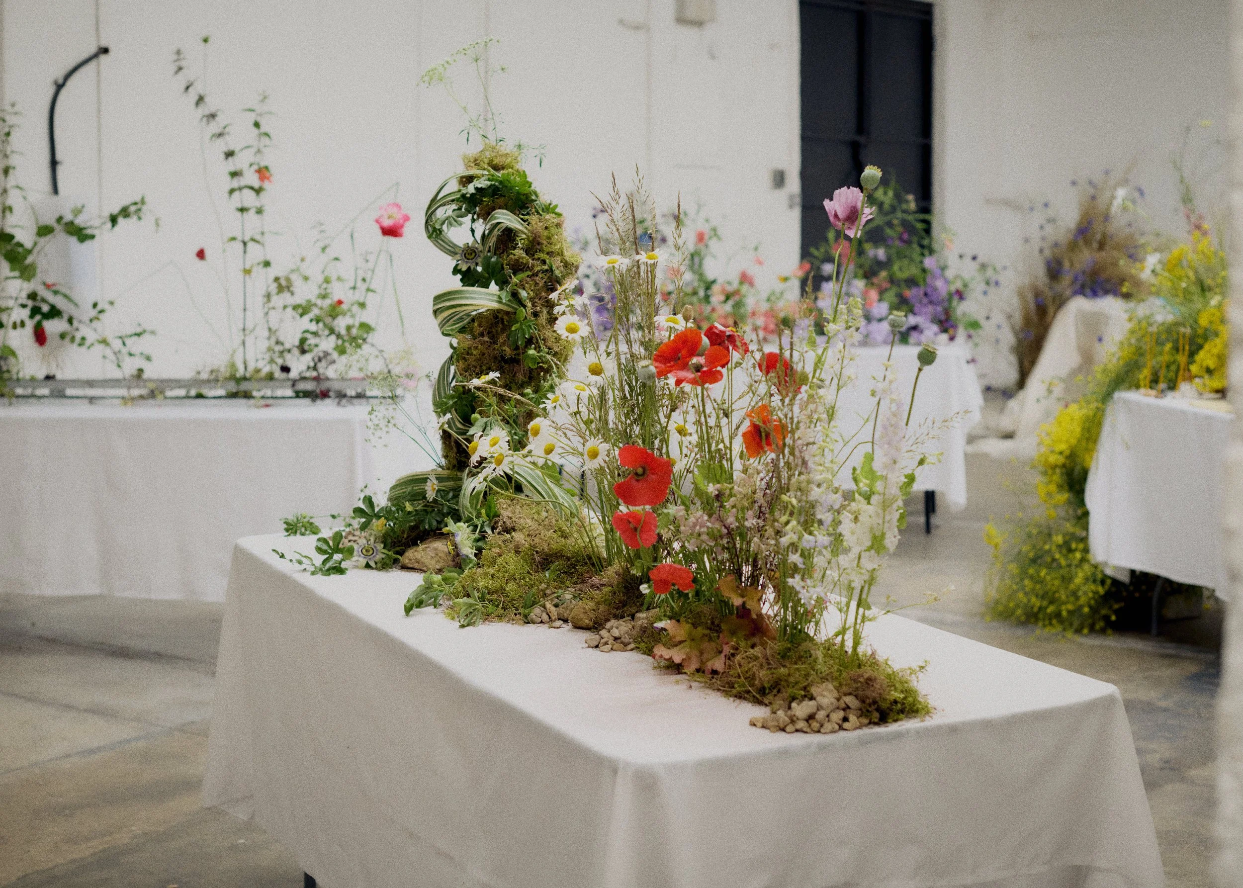 261801_FLOWERSONTHEEDGE_TILLYWACE_1436.jpg