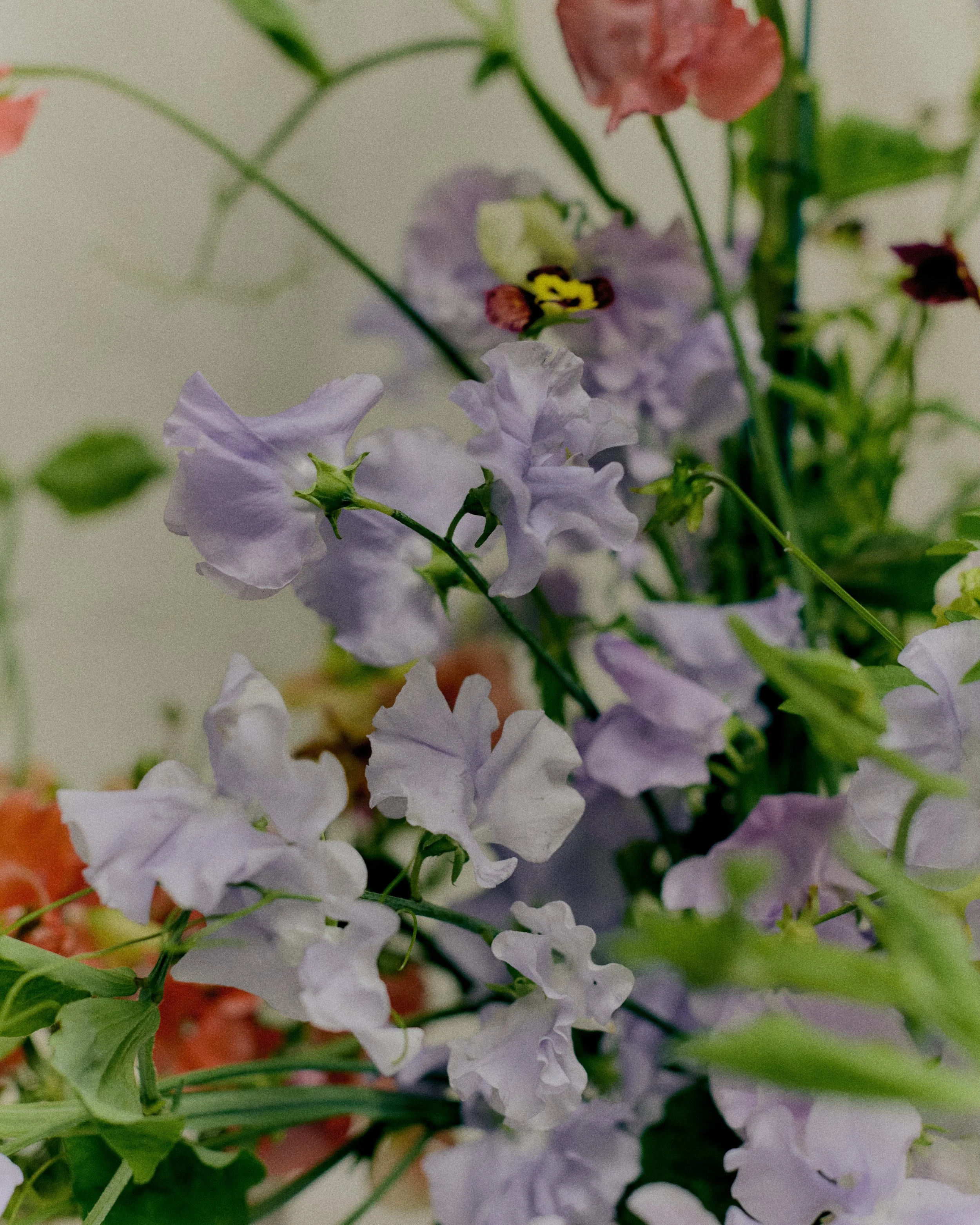 261801_FLOWERSONTHEEDGE_TILLYWACE_0982.jpg