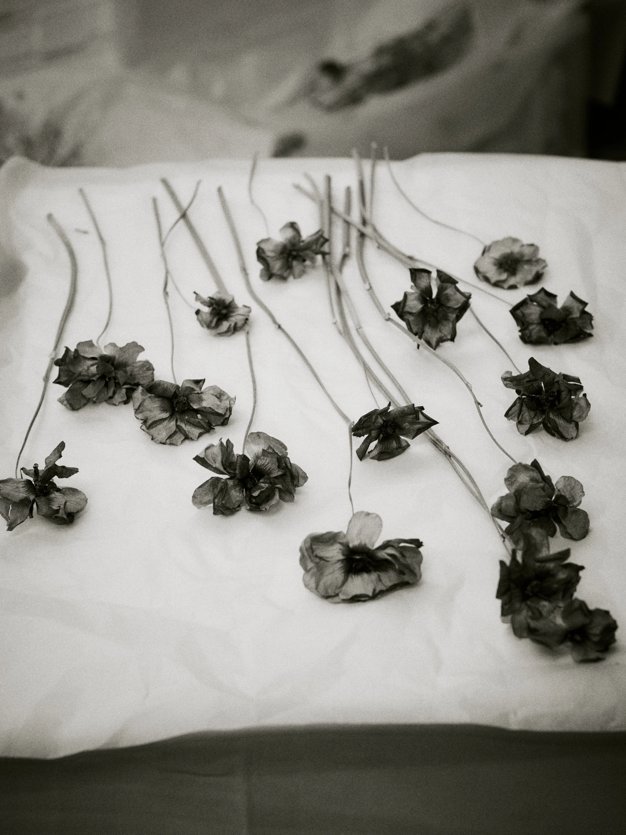 261801_FLOWERSONTHEEDGE_TILLYWACE_0480.jpg