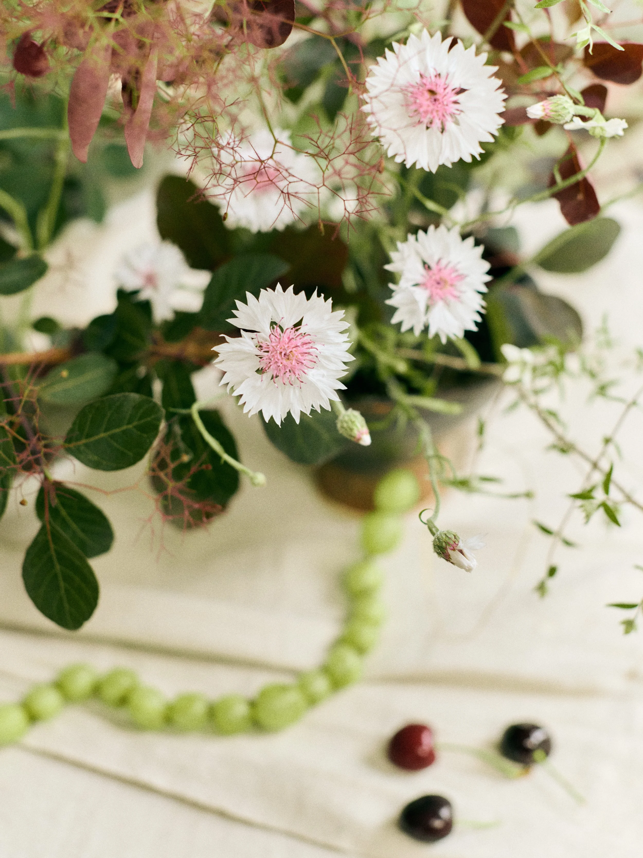 261801_FLOWERSONTHEEDGE_TILLYWACE_0801.jpg