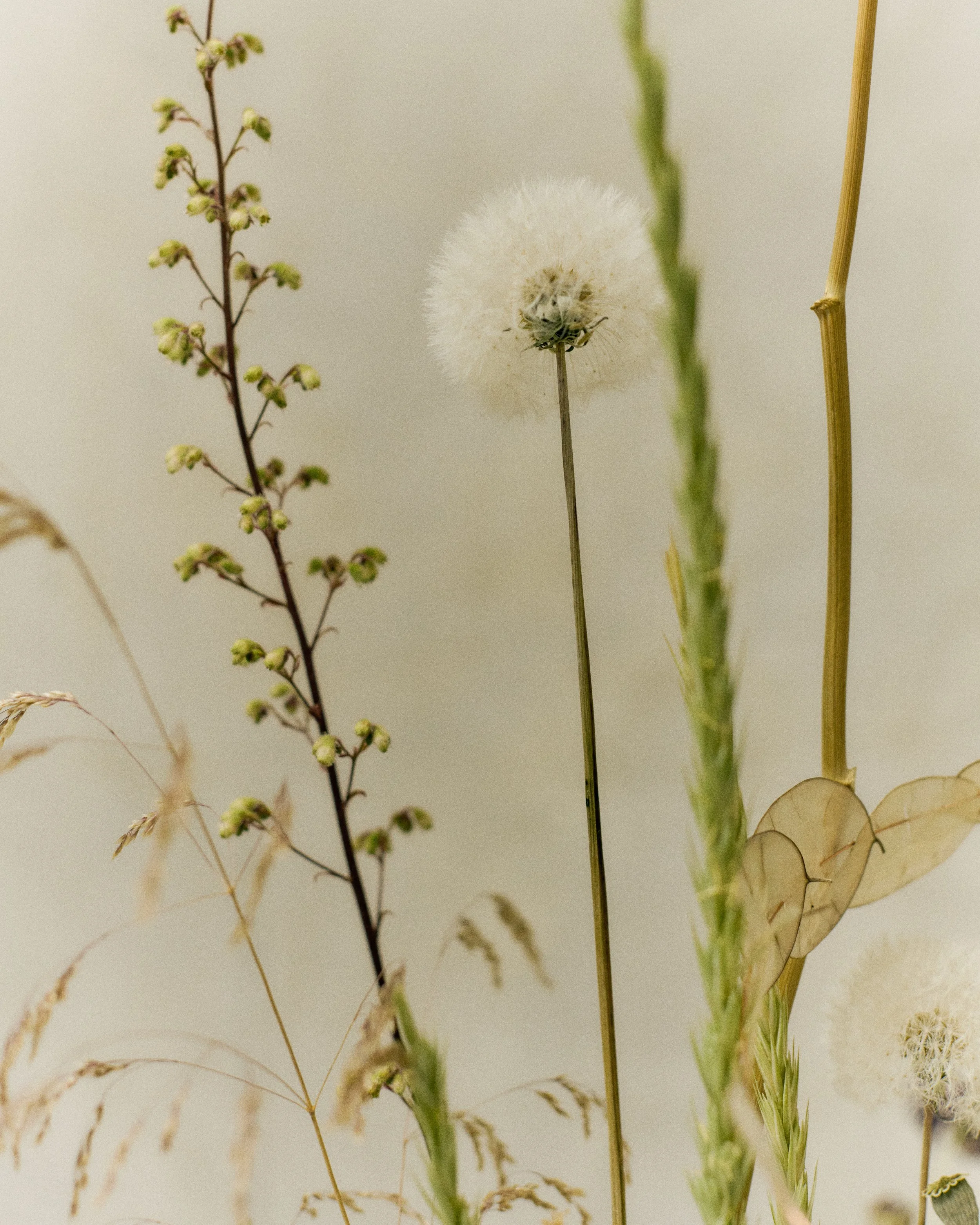 261801_FLOWERSONTHEEDGE_TILLYWACE_1377.jpg