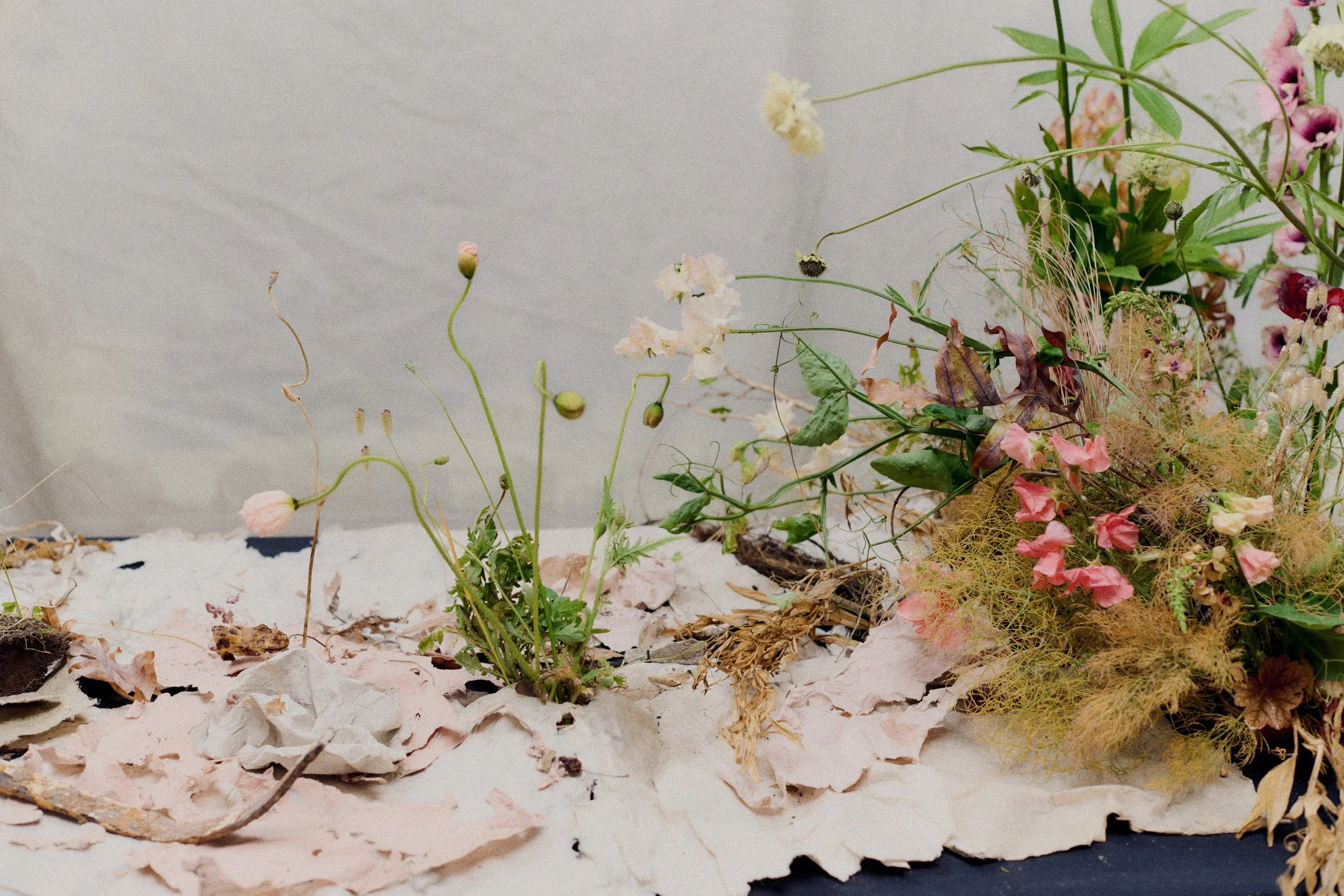 261801_FLOWERSONTHEEDGE_TILLYWACE_0887.jpg