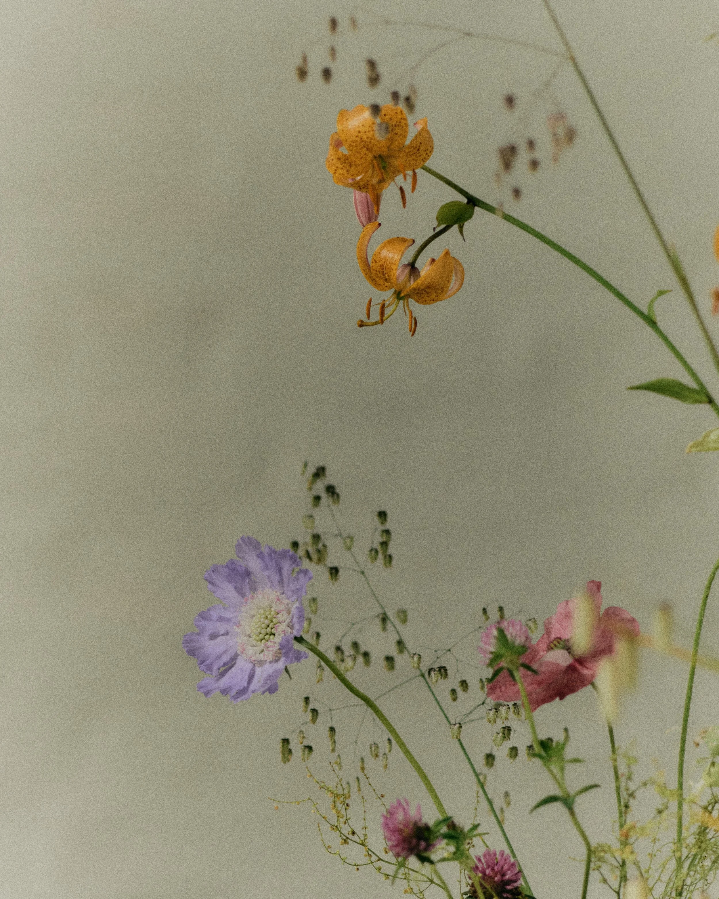 261801_FLOWERSONTHEEDGE_TILLYWACE_1405.jpg