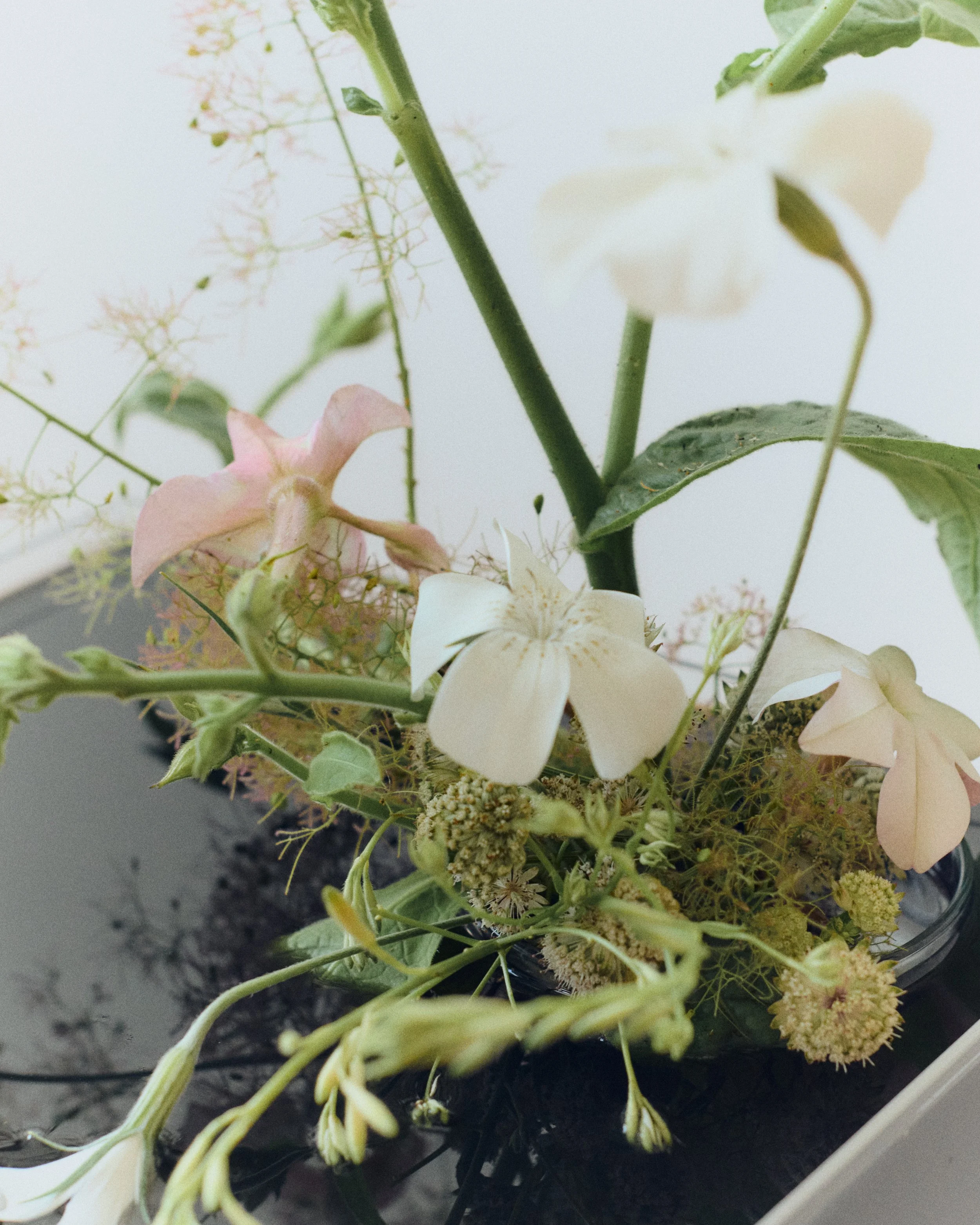 Copy of 259619_FlowersOnTheEdge_0857.jpg