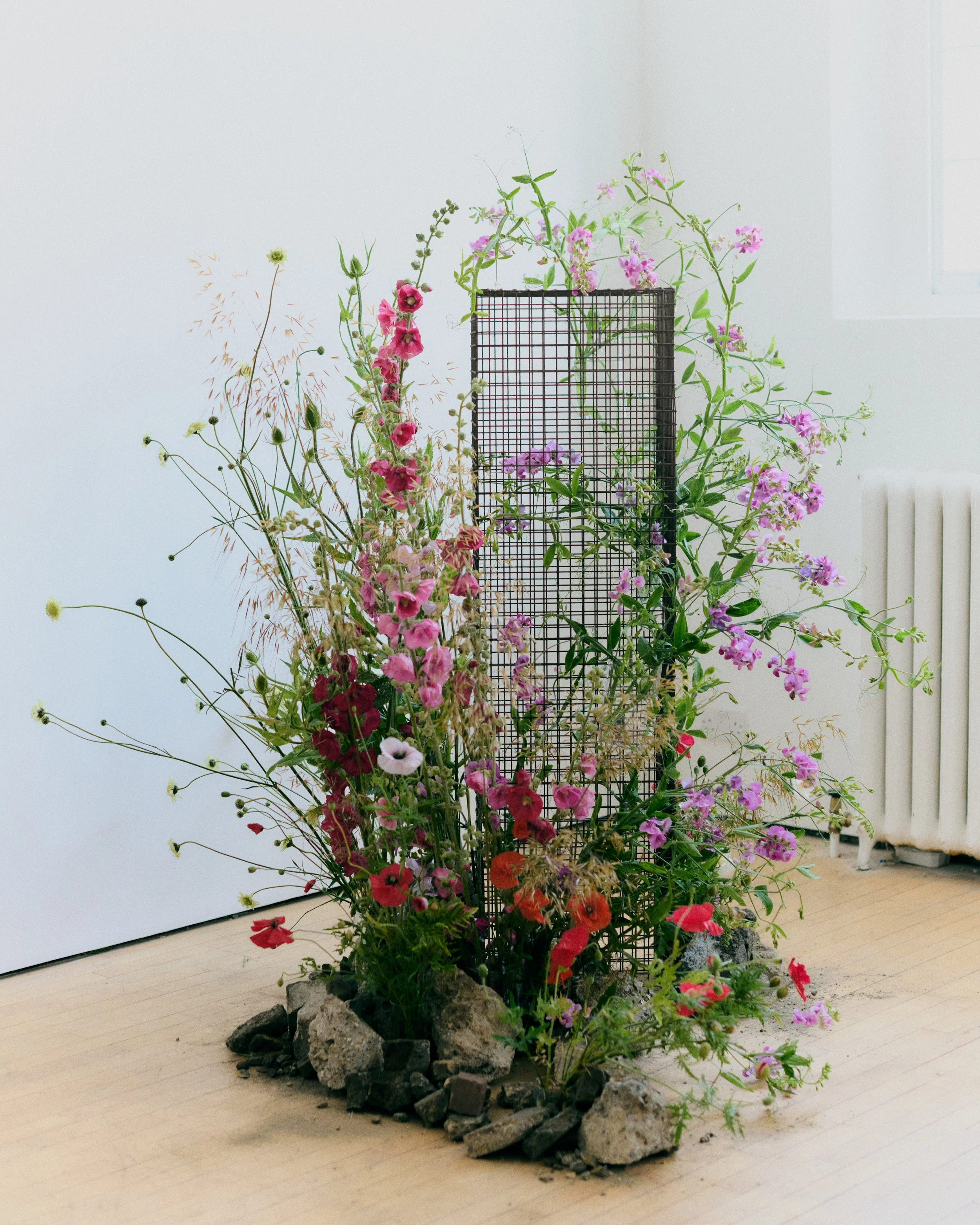 Copy of 259619_FlowersOnTheEdge_0781.jpg