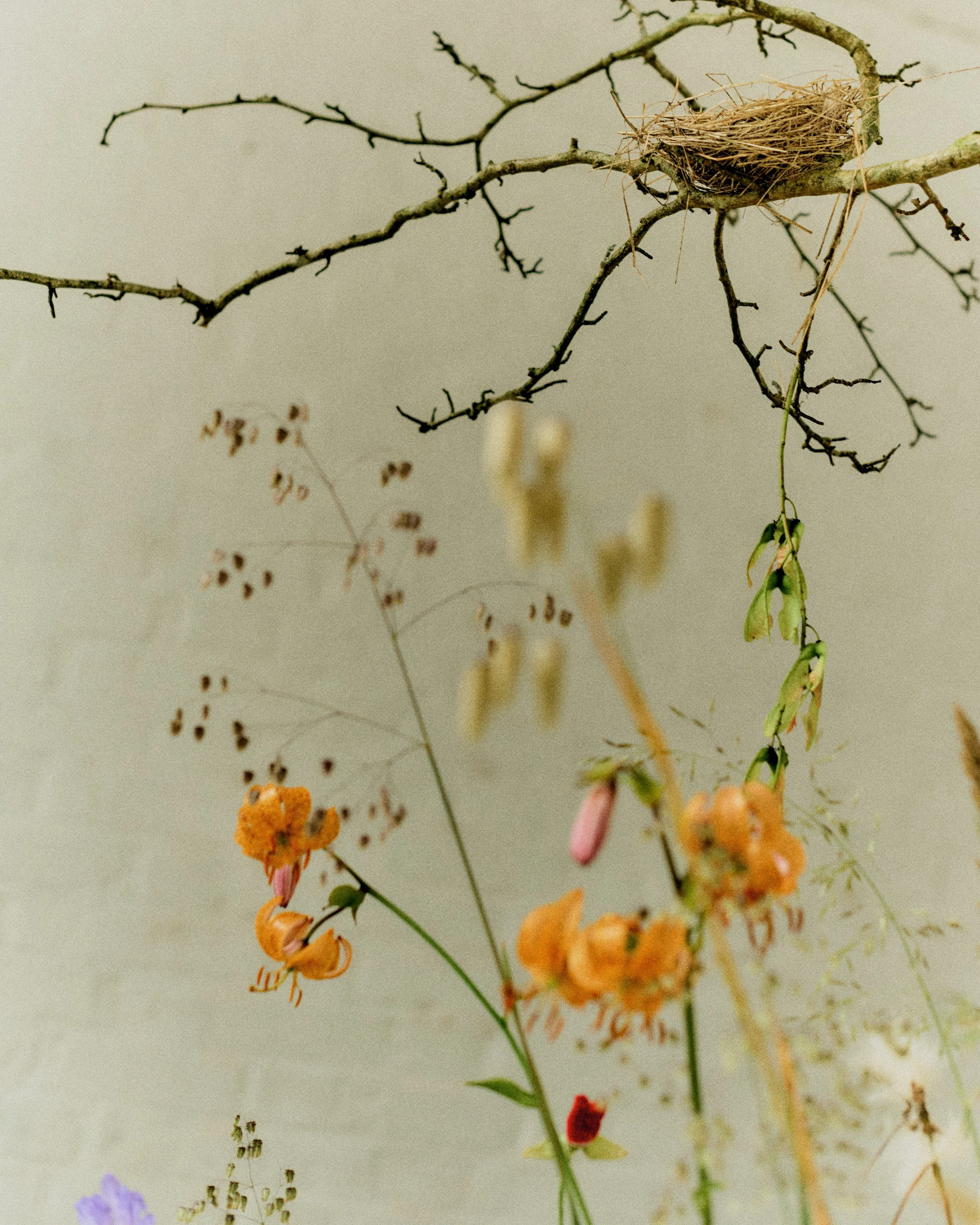 261801_FLOWERSONTHEEDGE_TILLYWACE_1359.jpg