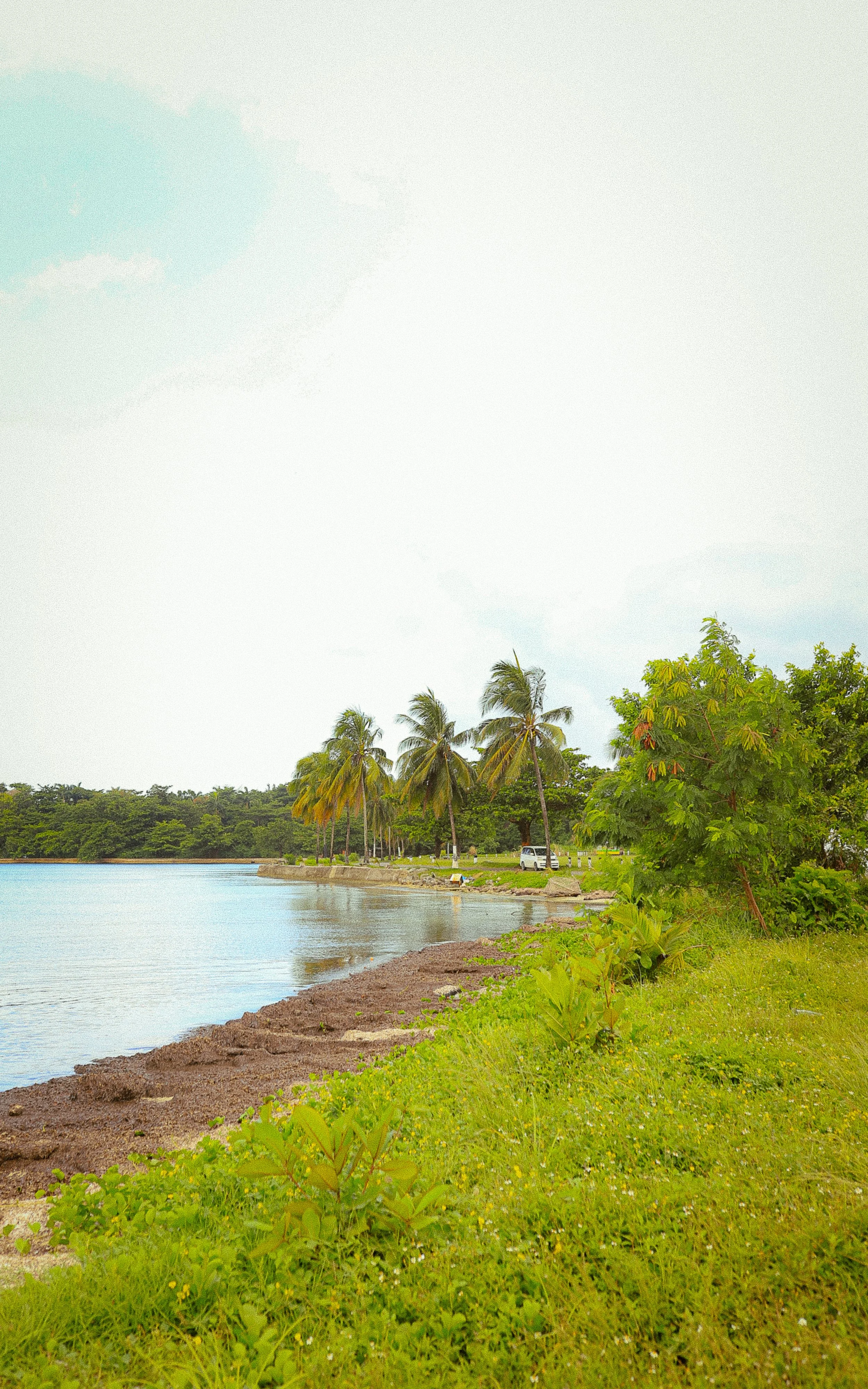 %22FollyCove%22 (Jamaica2025).jpg