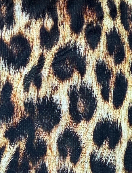 Screenshot 2026-02-05 124445.png