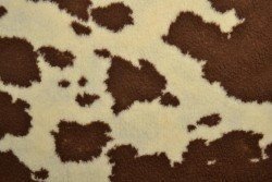Udderly Snuggly Sherpa