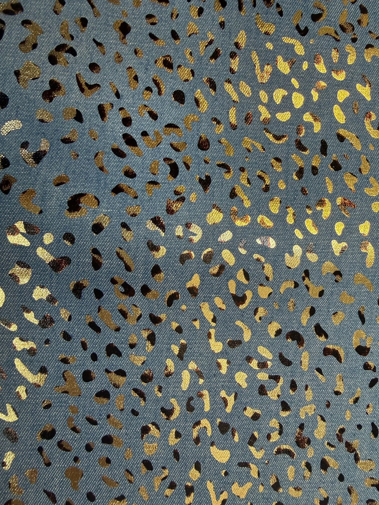 PHOTO-2026-02-26-15-18-41 2.jpg