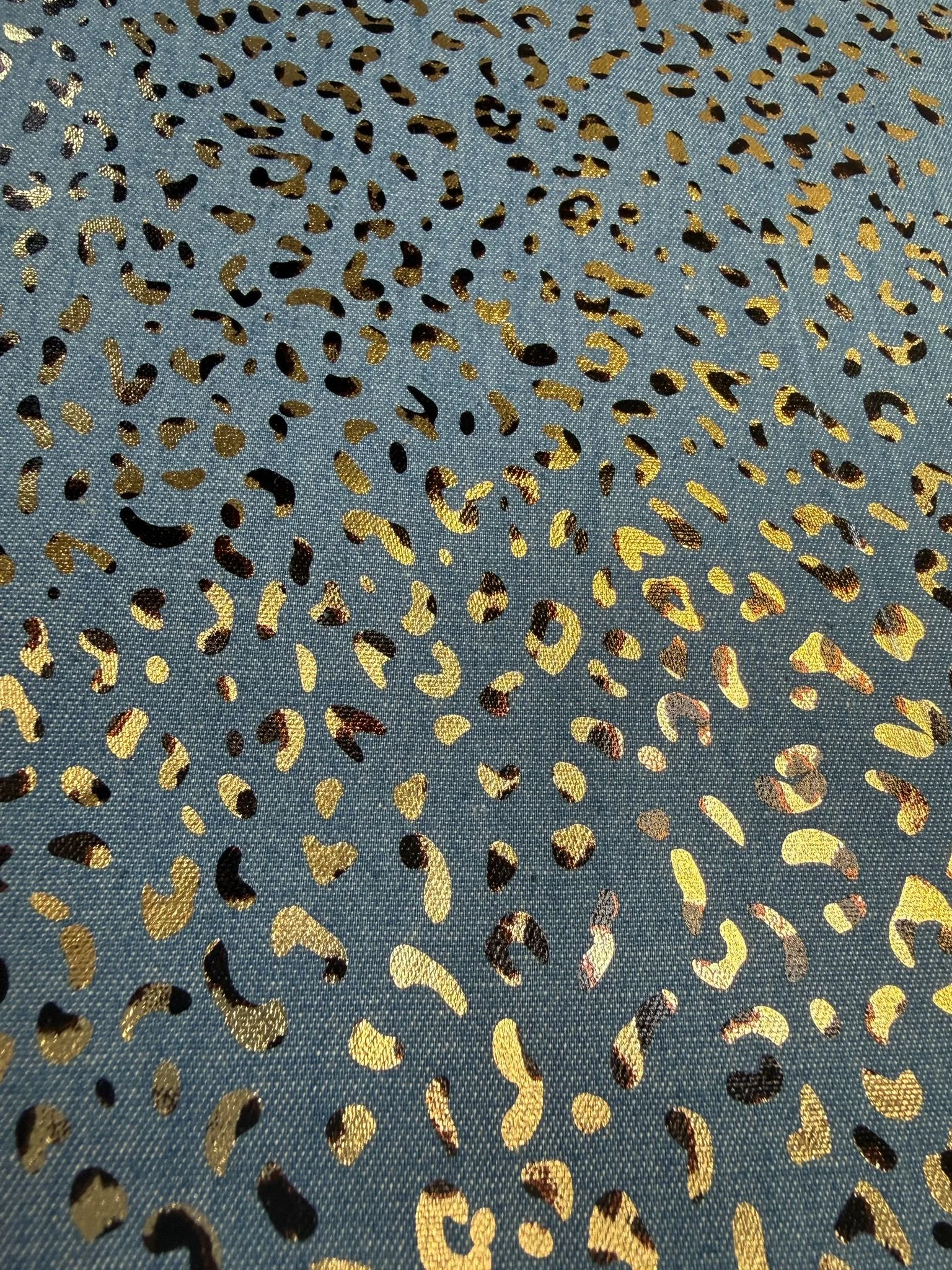 PHOTO-2026-02-26-15-18-41 3.jpg